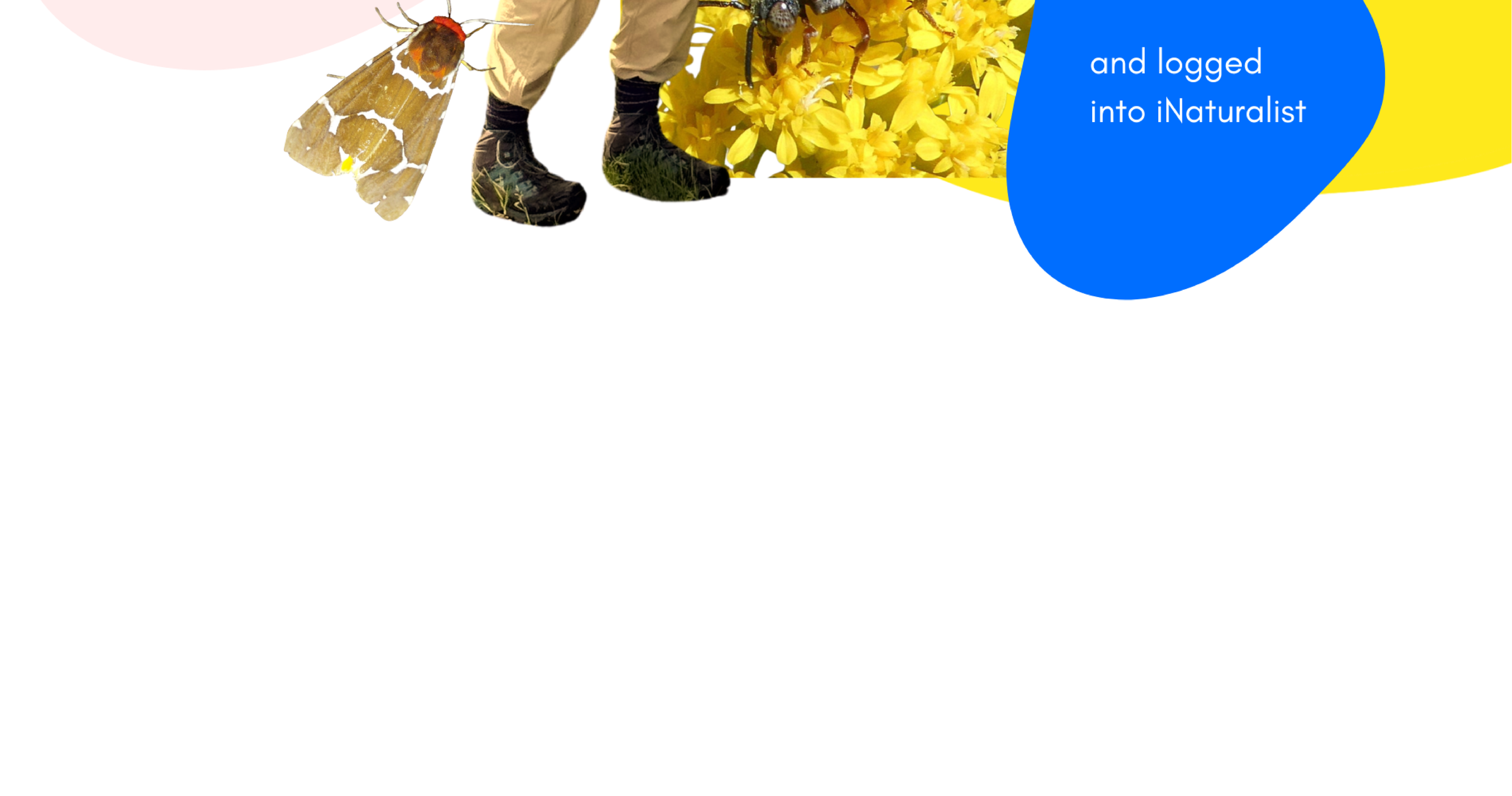 A community effort-08.png
