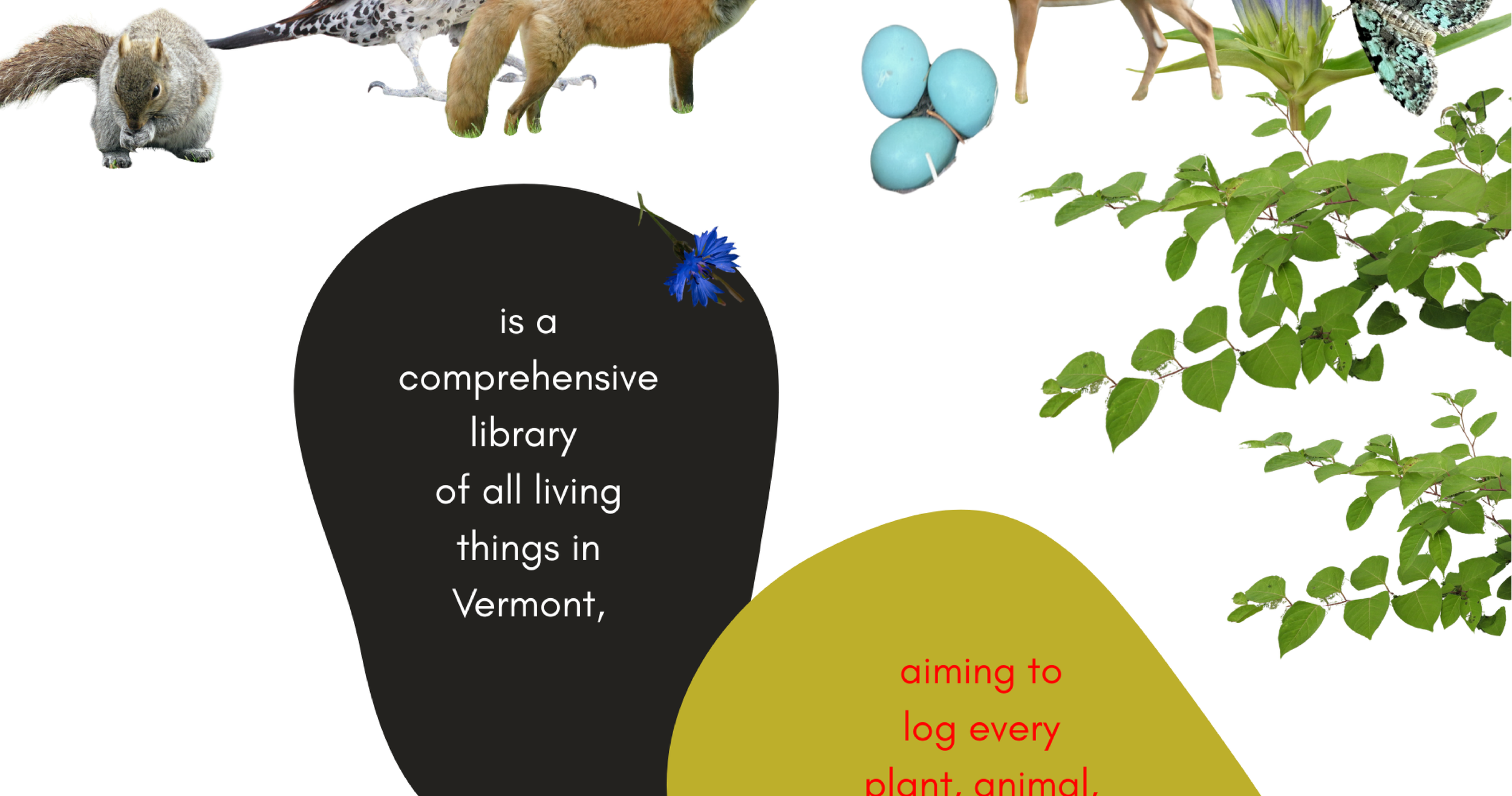 A community effort-02.png