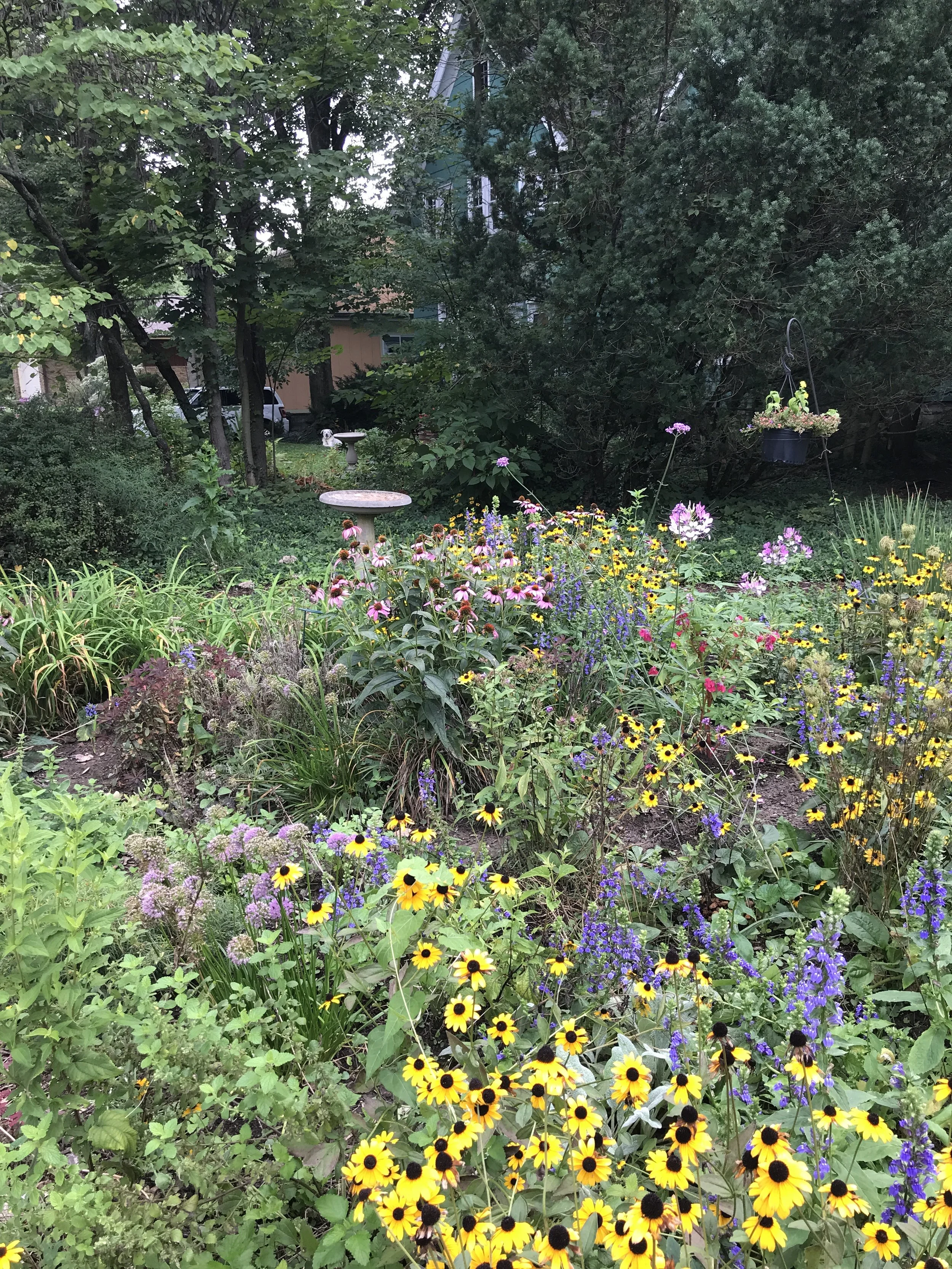 Fiori d’Italia: St. Louis, MO