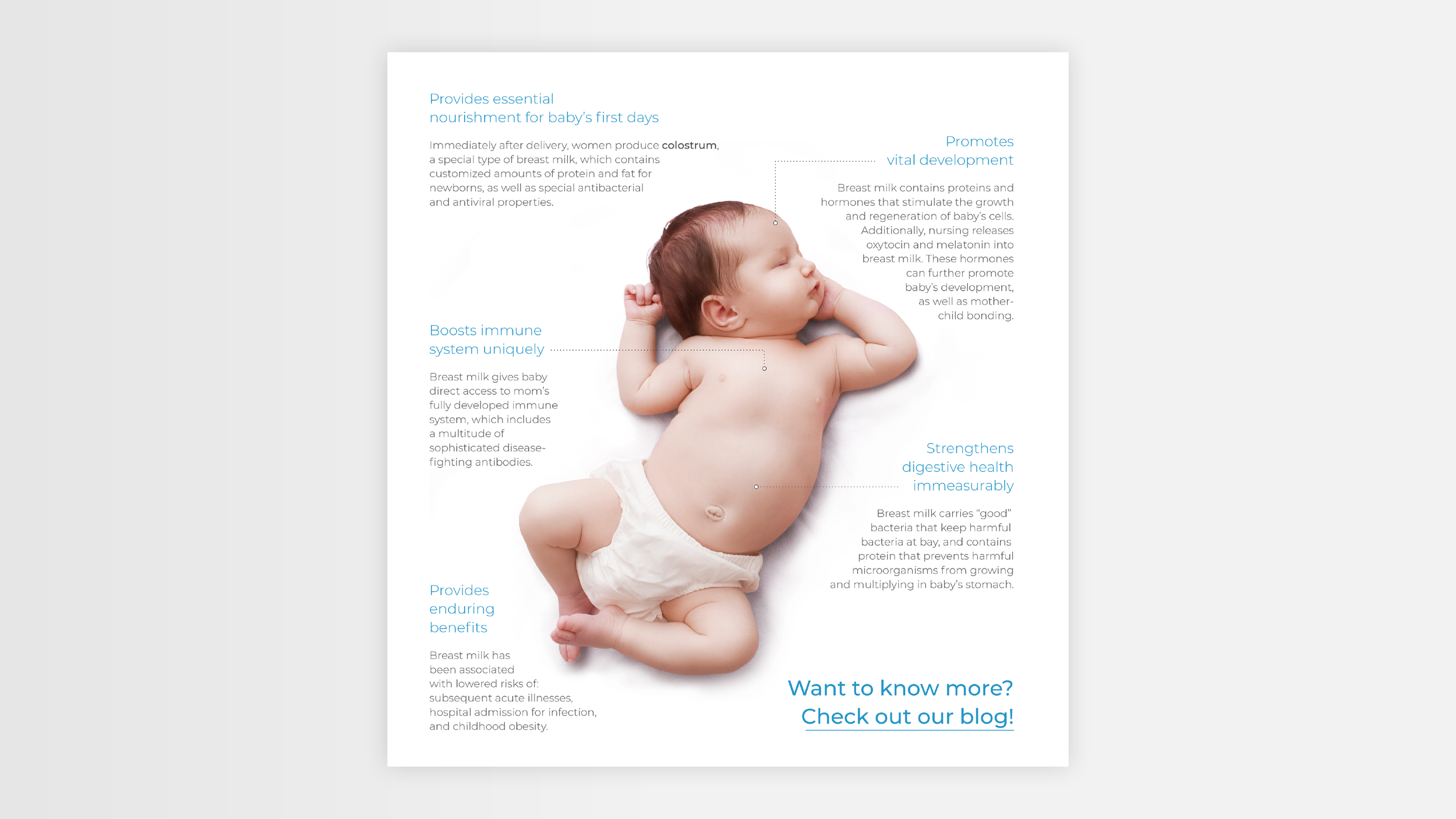 241113_AM_Website_Work_assets2.png