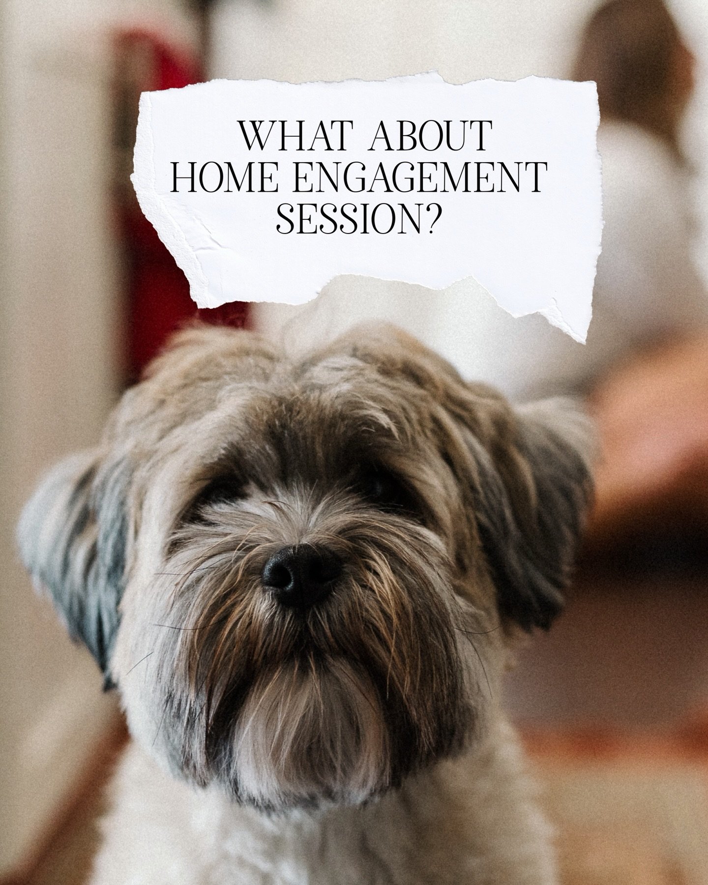 Looking for more intimate and comfortable place for your engagement session? Want to be captured what you enjoy most and just the way you are?