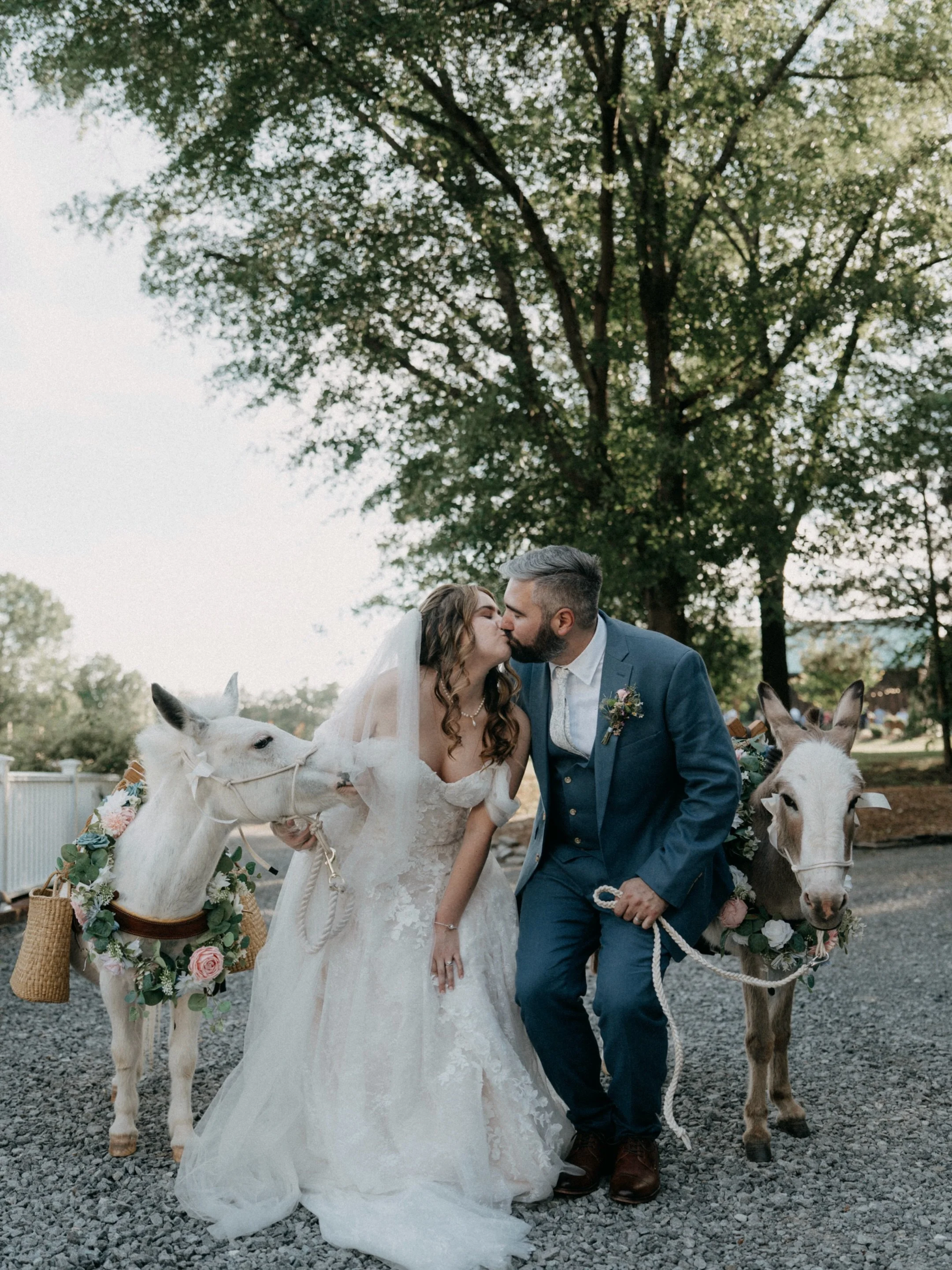 It was such a cute wedding. We had the cutest guests! Hee-haw!!🫏🫏🫏 Congratulations, Ryan &amp; Amanda!
Venue historicrobertsonhomestead
Wedding planner @craftedcharmweddingplanning 
Hair @orangerosebeauty 
Makeup @amycastrohmua 
DJ @splitsecondsou