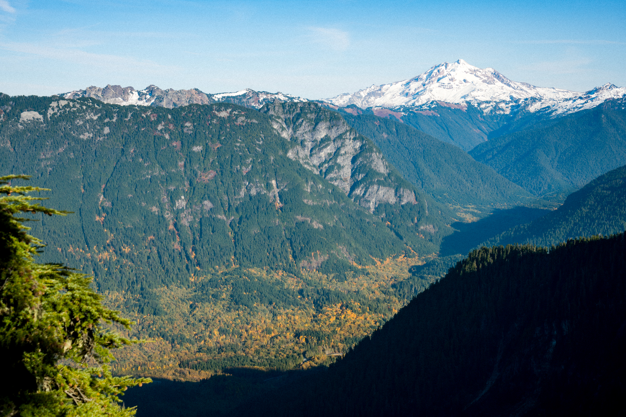 Mt Forgotten Meadows Fall (SM)-01773.jpg