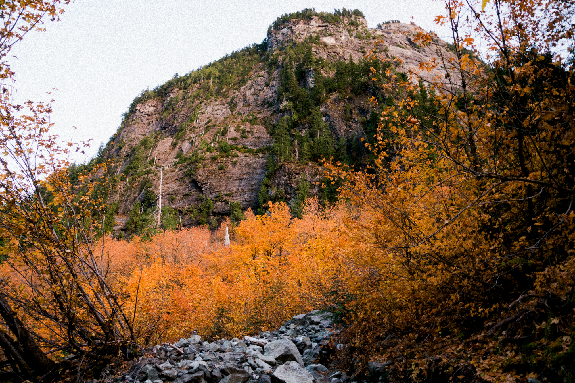 Mt Forgotten Meadows Fall (SM)-01892.jpg