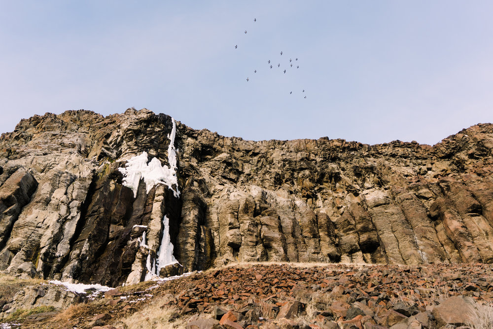 Ancient Lakes and Central WA-03628.jpg