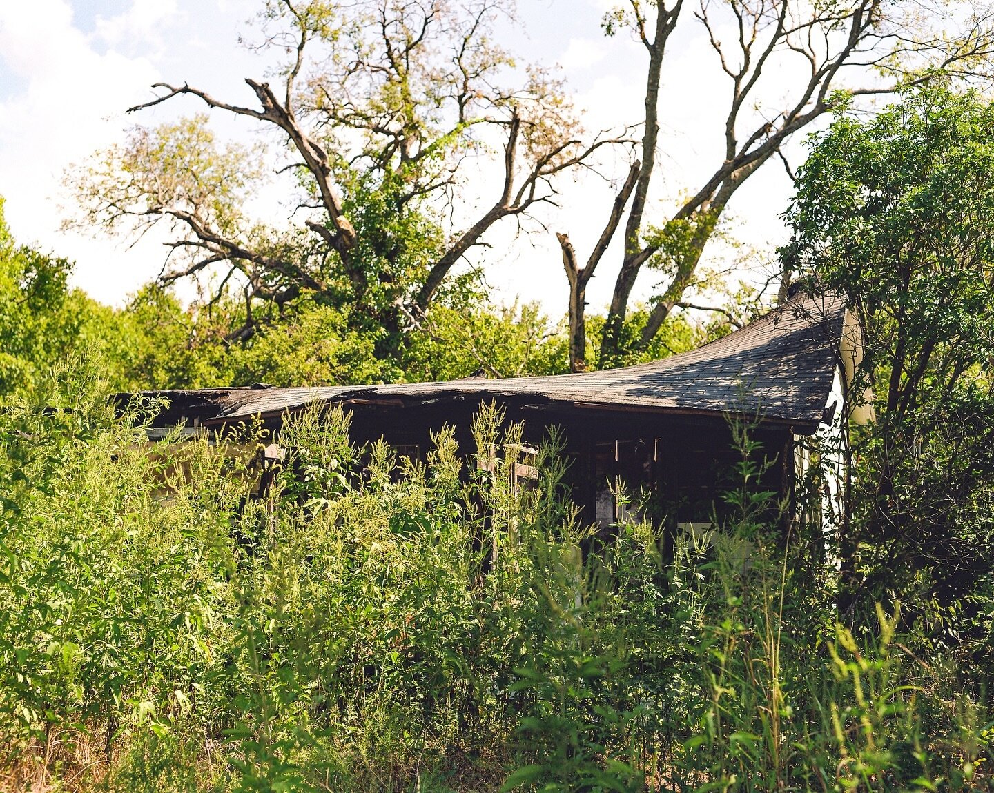 Blue Ridge, TX. 

#filmphotographic #mediumformatfilm  #somewheremagazine #subjectivelyobjective #everybodyfilm #fotofilmic #kodakprofessional #madewithkodak #pentax67