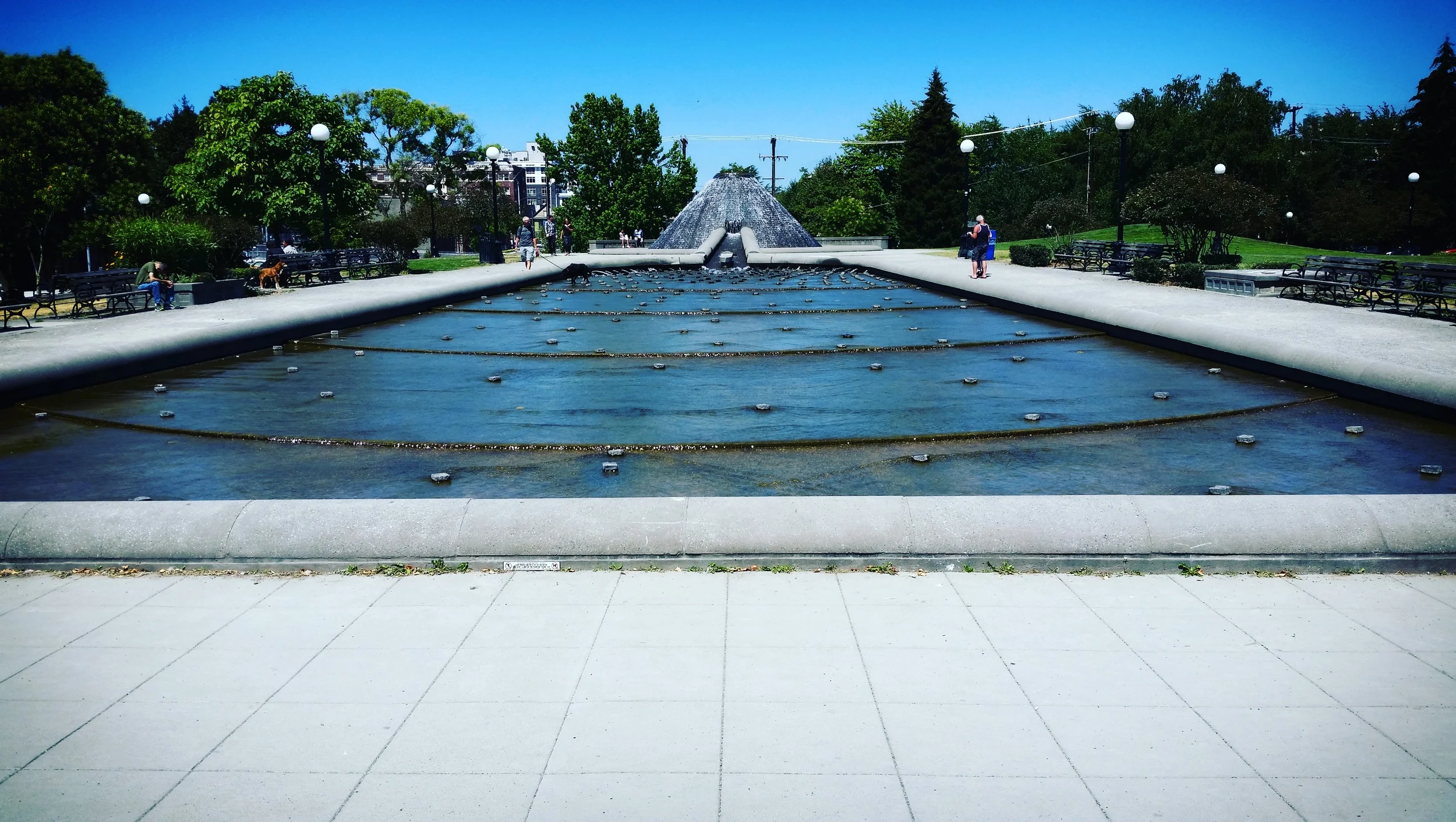 Tango Party in the Park ~ Live Music, Bootcamp & Práctica!