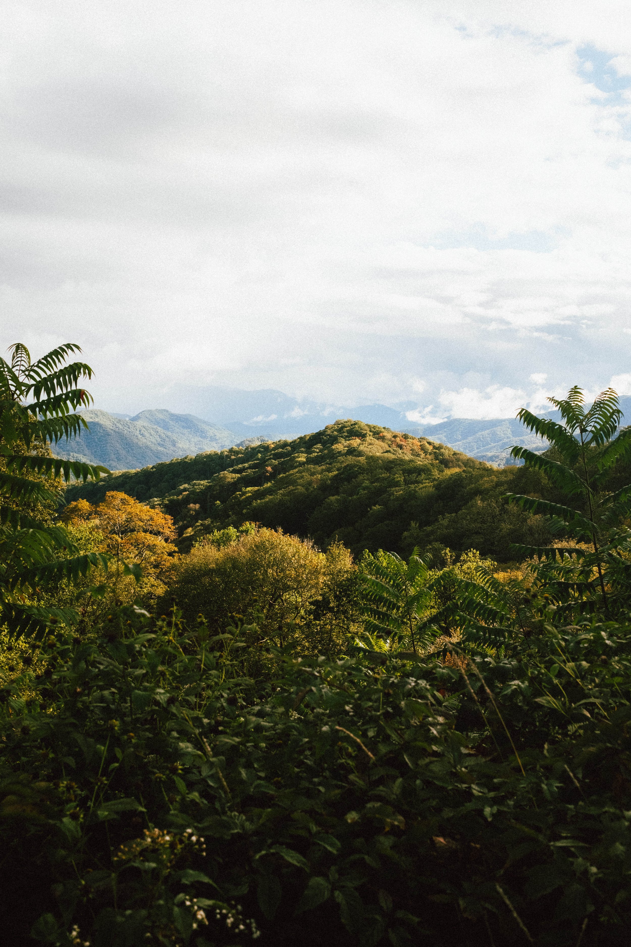 Great Smoky Mountain National Park.jpg