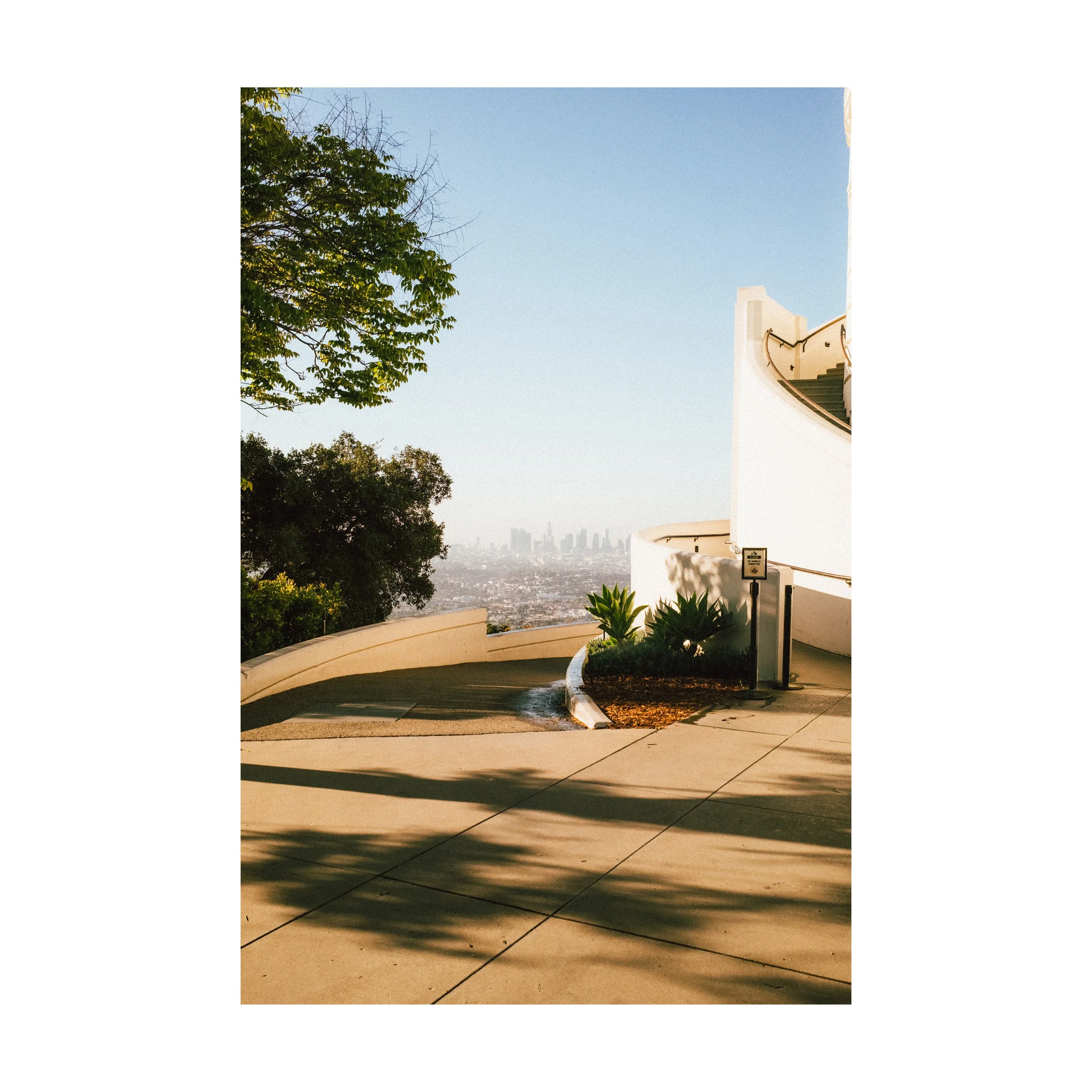 Griffith Sunrise_square.jpg
