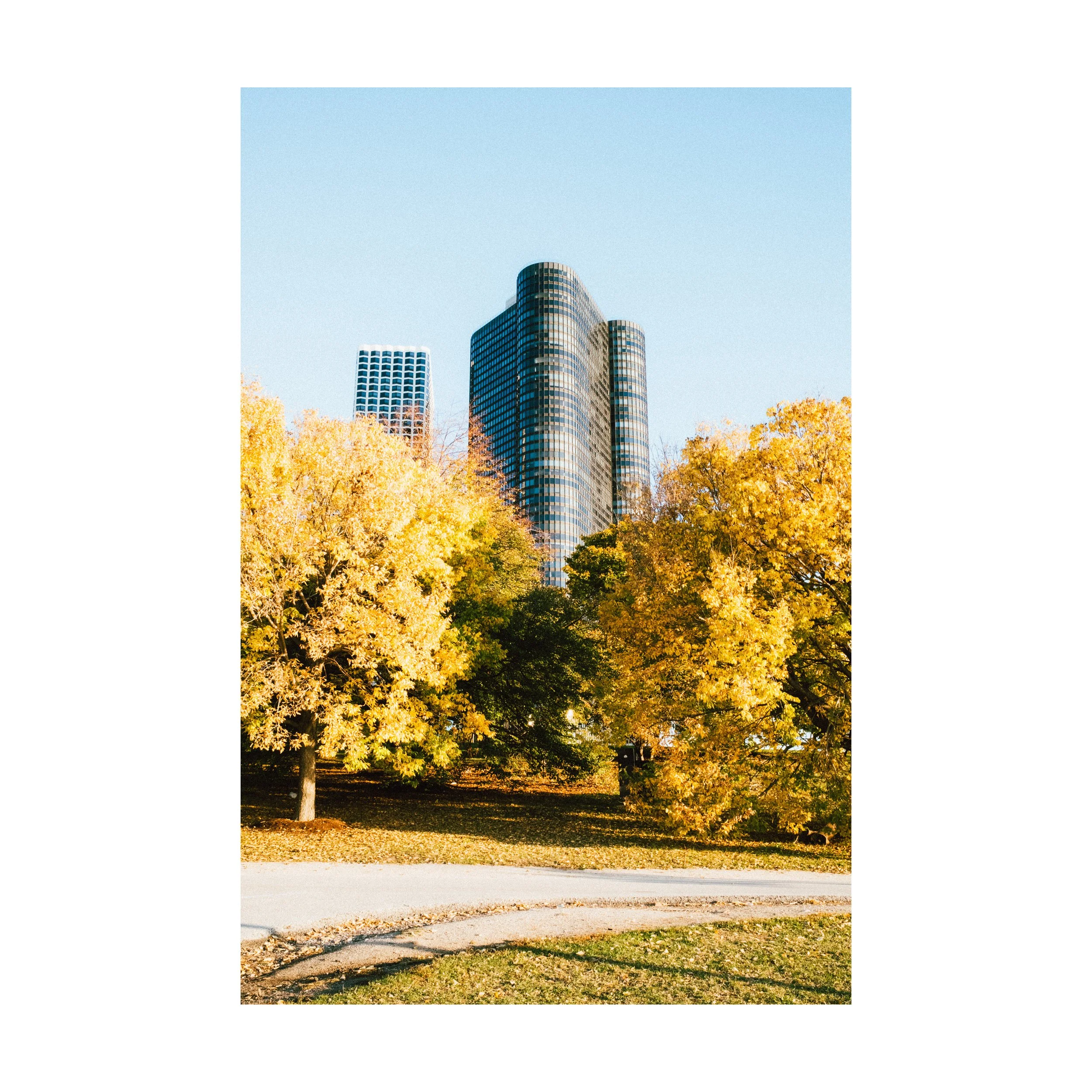 Chicago Autumn_square.jpg