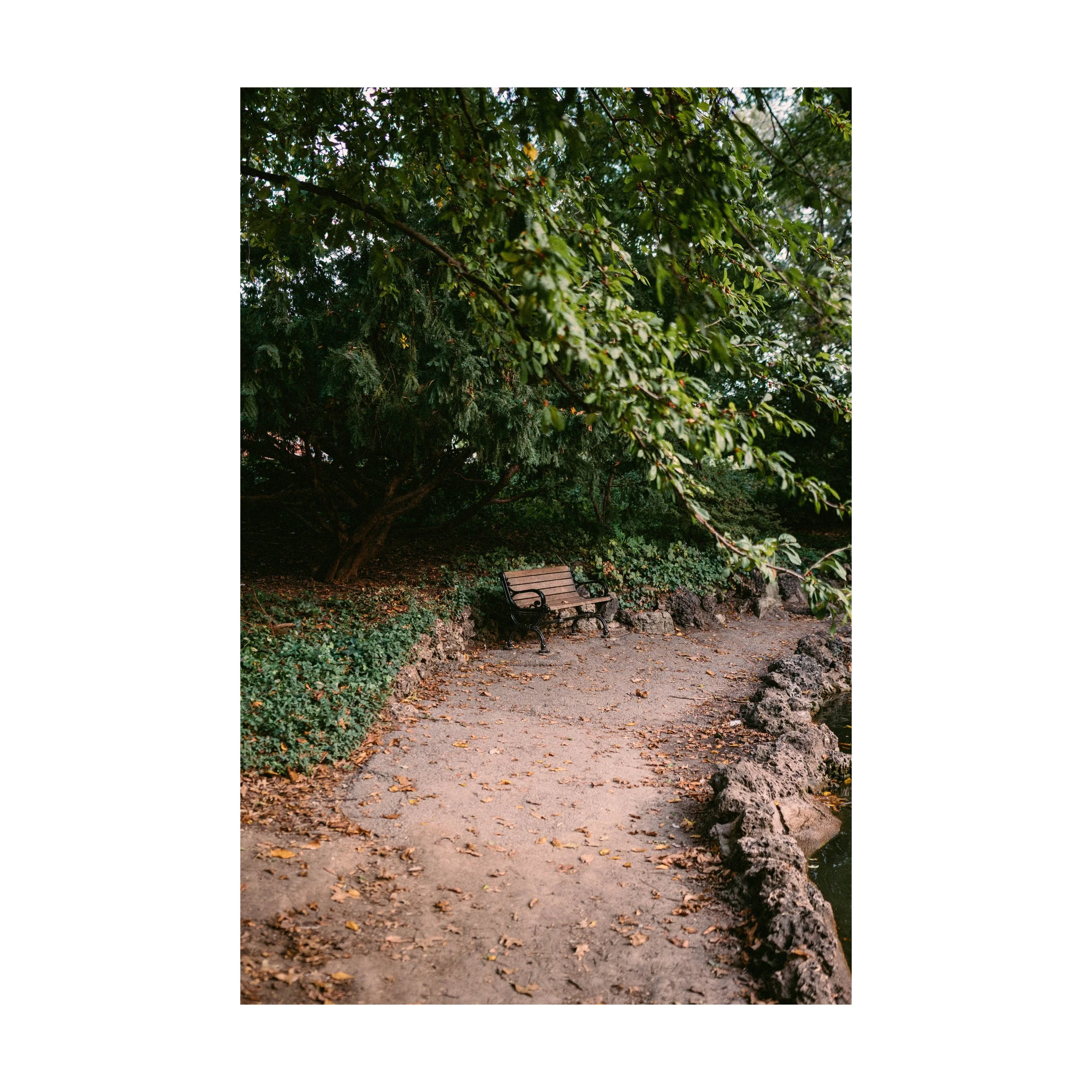 A Really Nice Bench_square.jpg