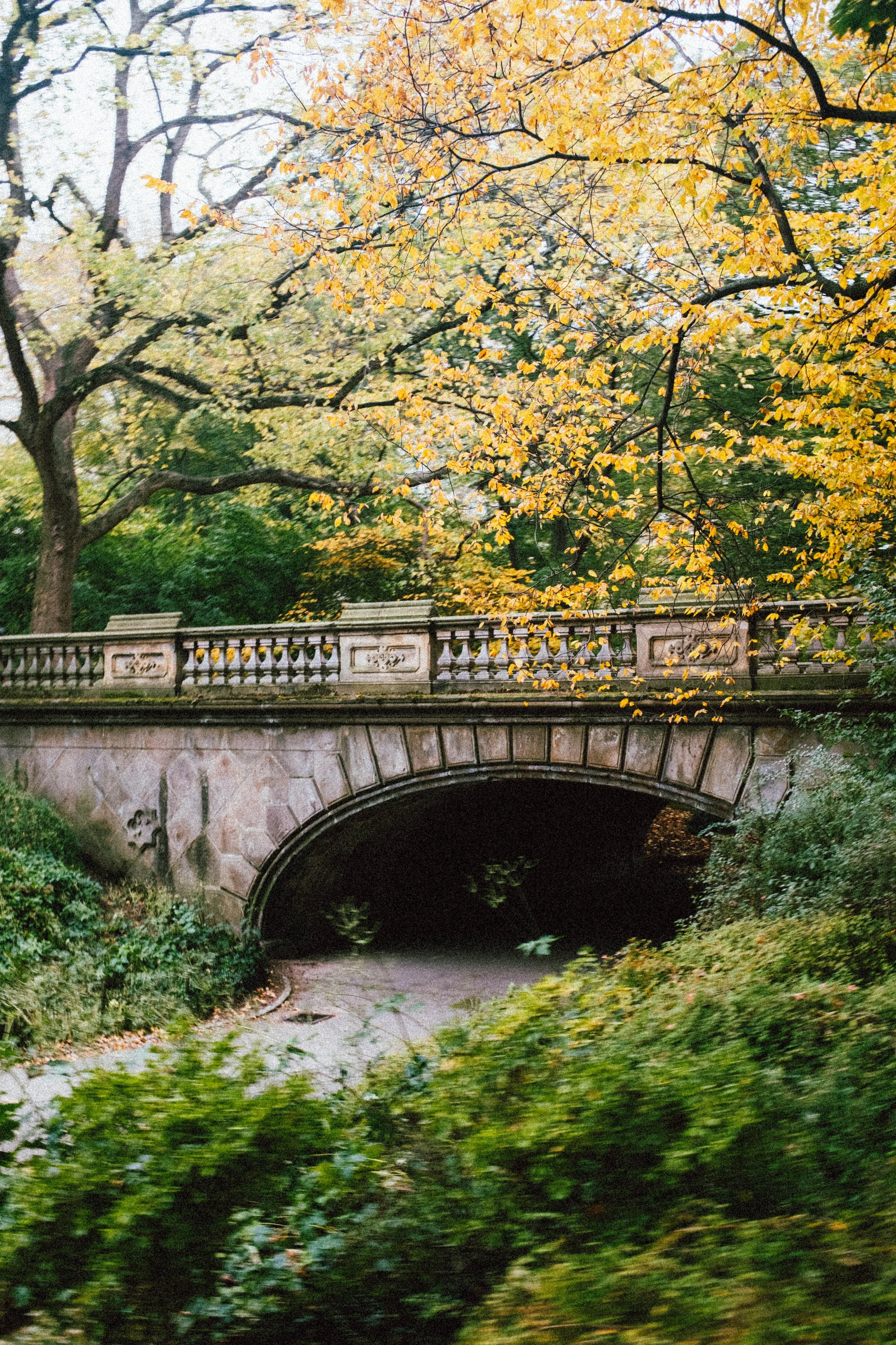 Central Park Autumn.jpg