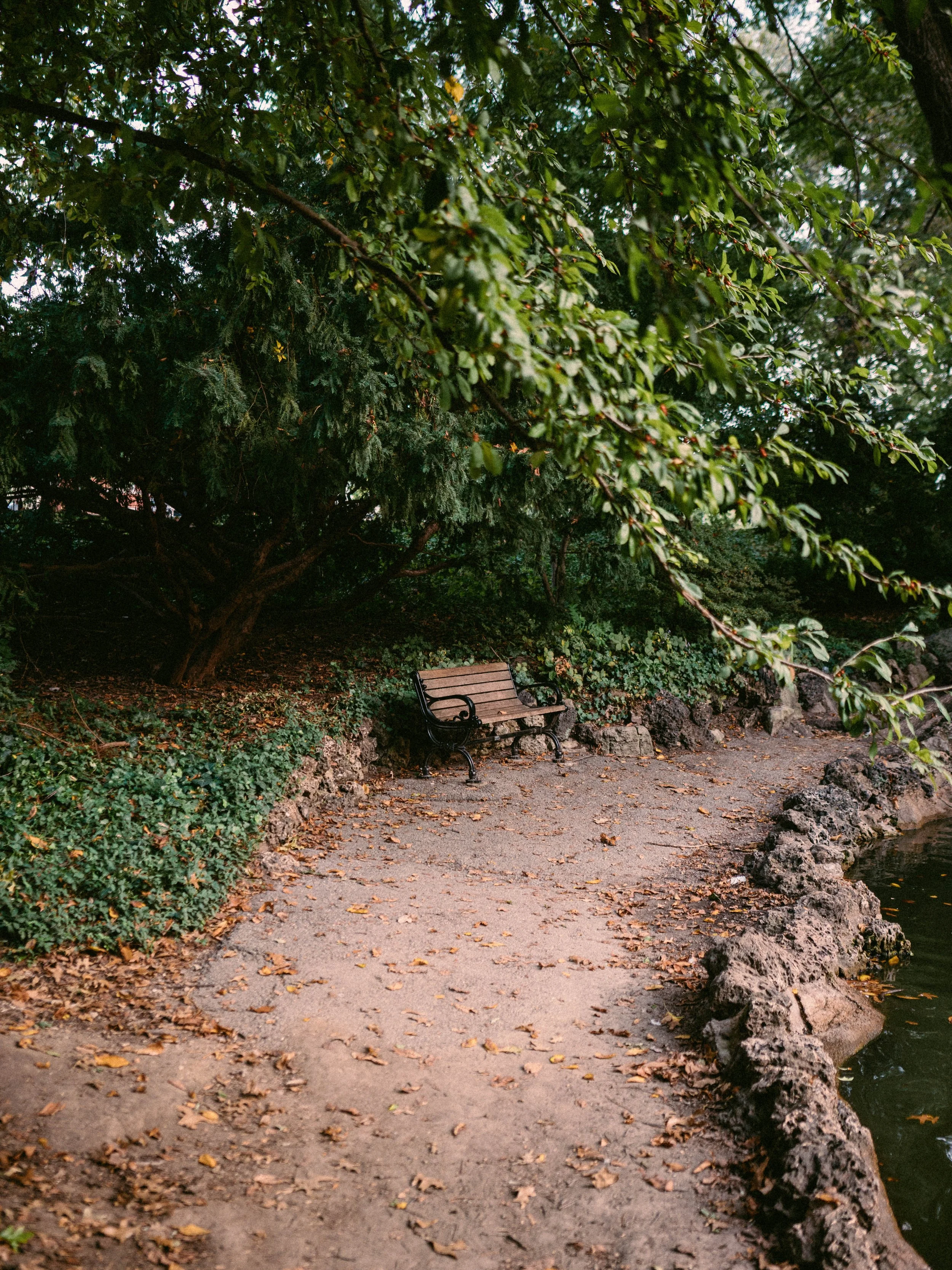 A Really Nice Bench.jpg