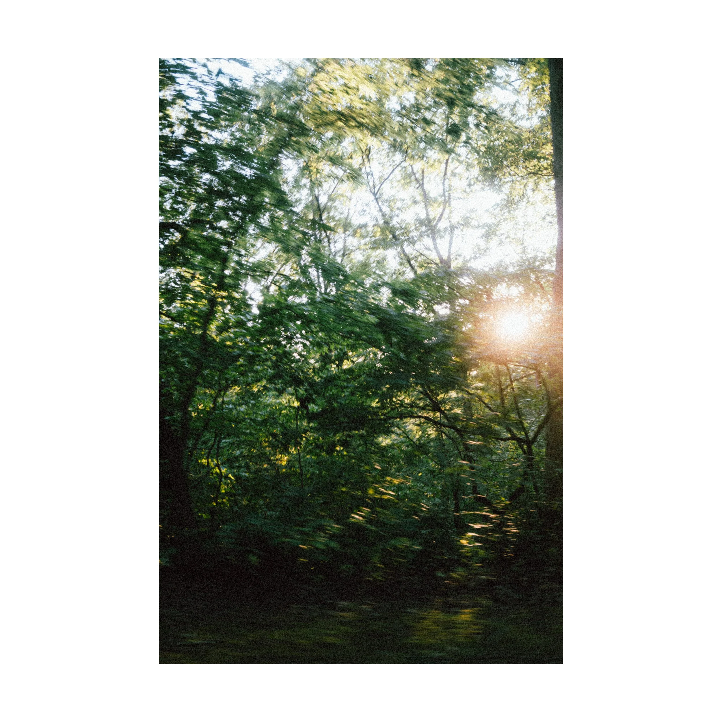 Green Dream_square.jpg