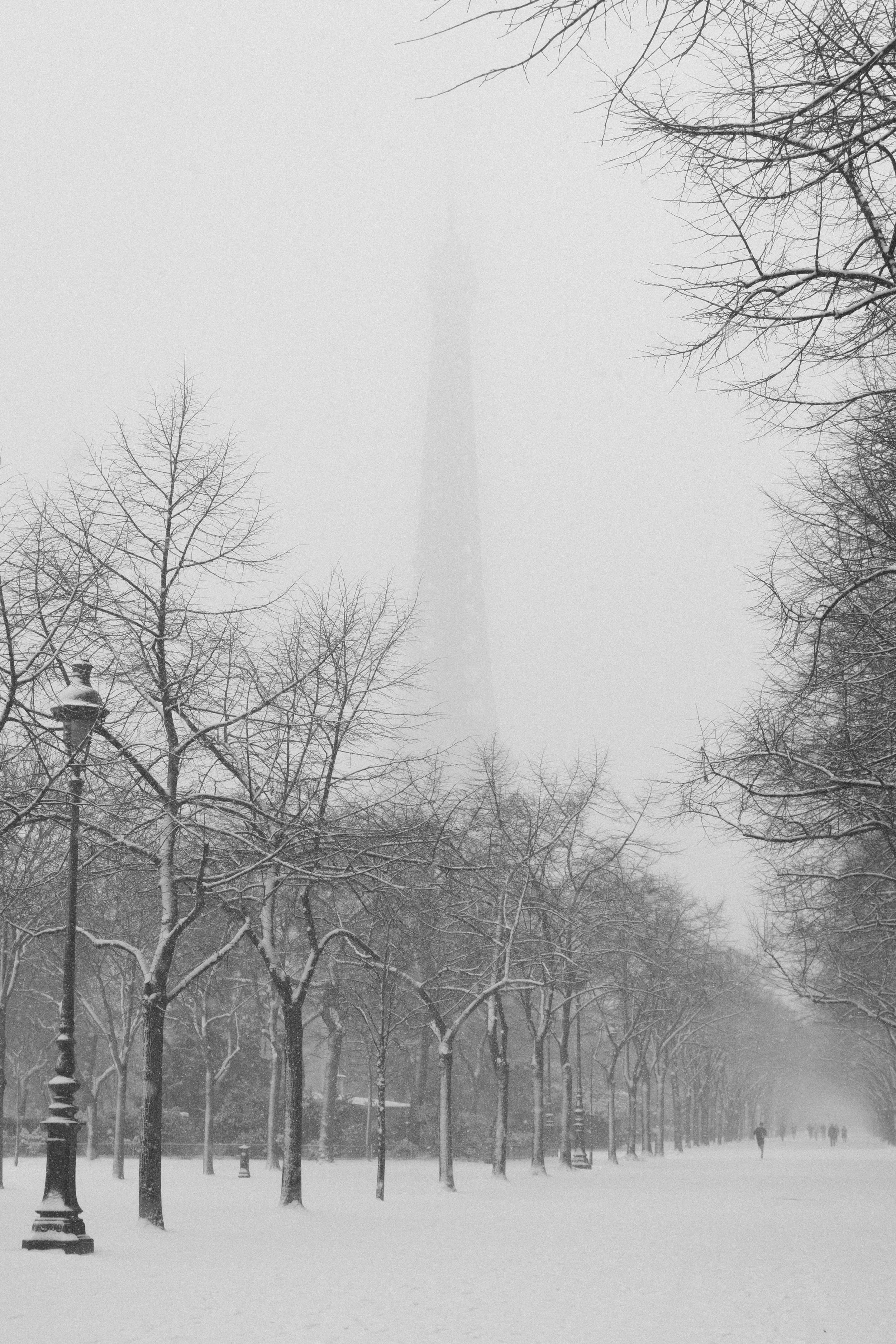 Snowy Eiffel Tower.jpg