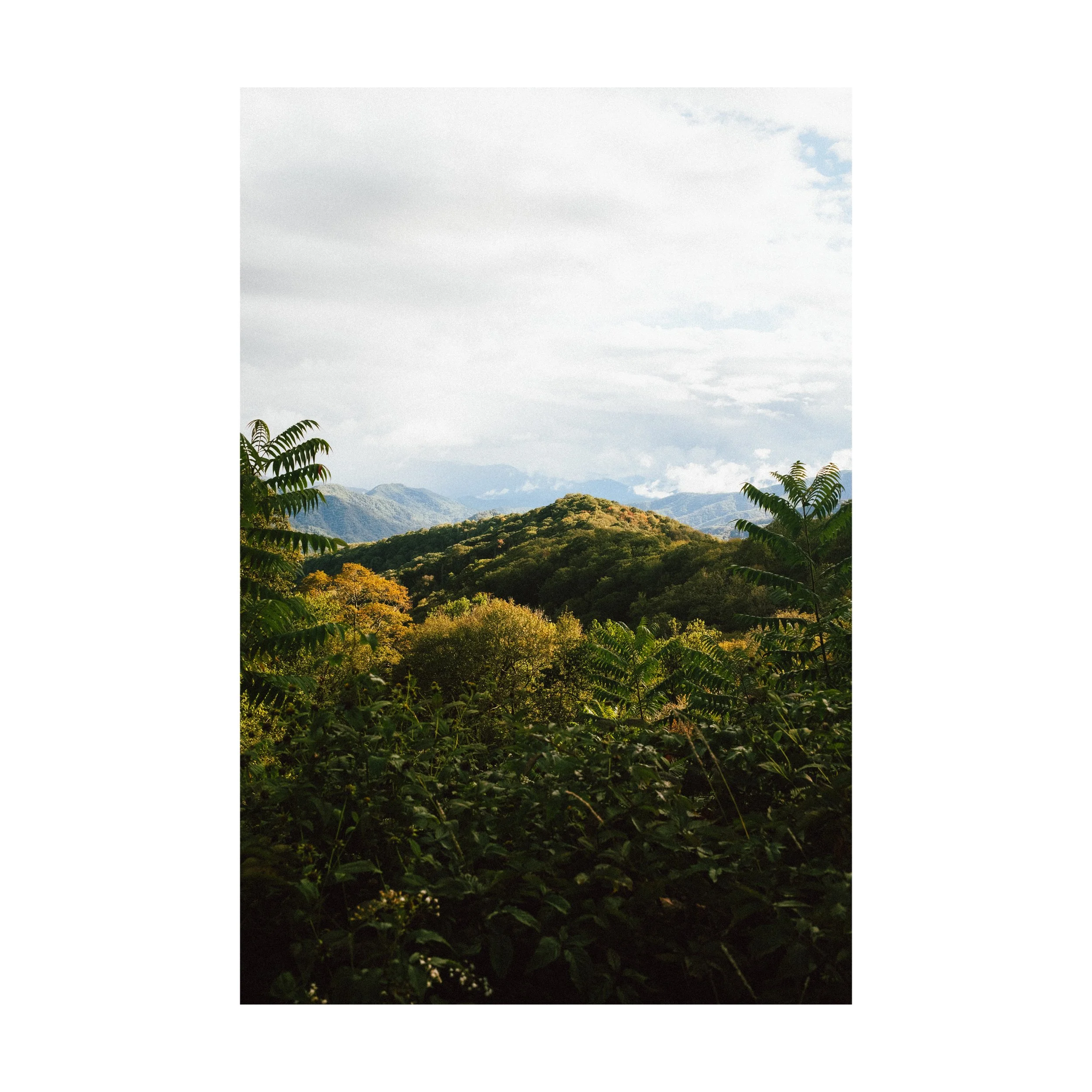 Great Smoky Mountain National Park_square.jpg