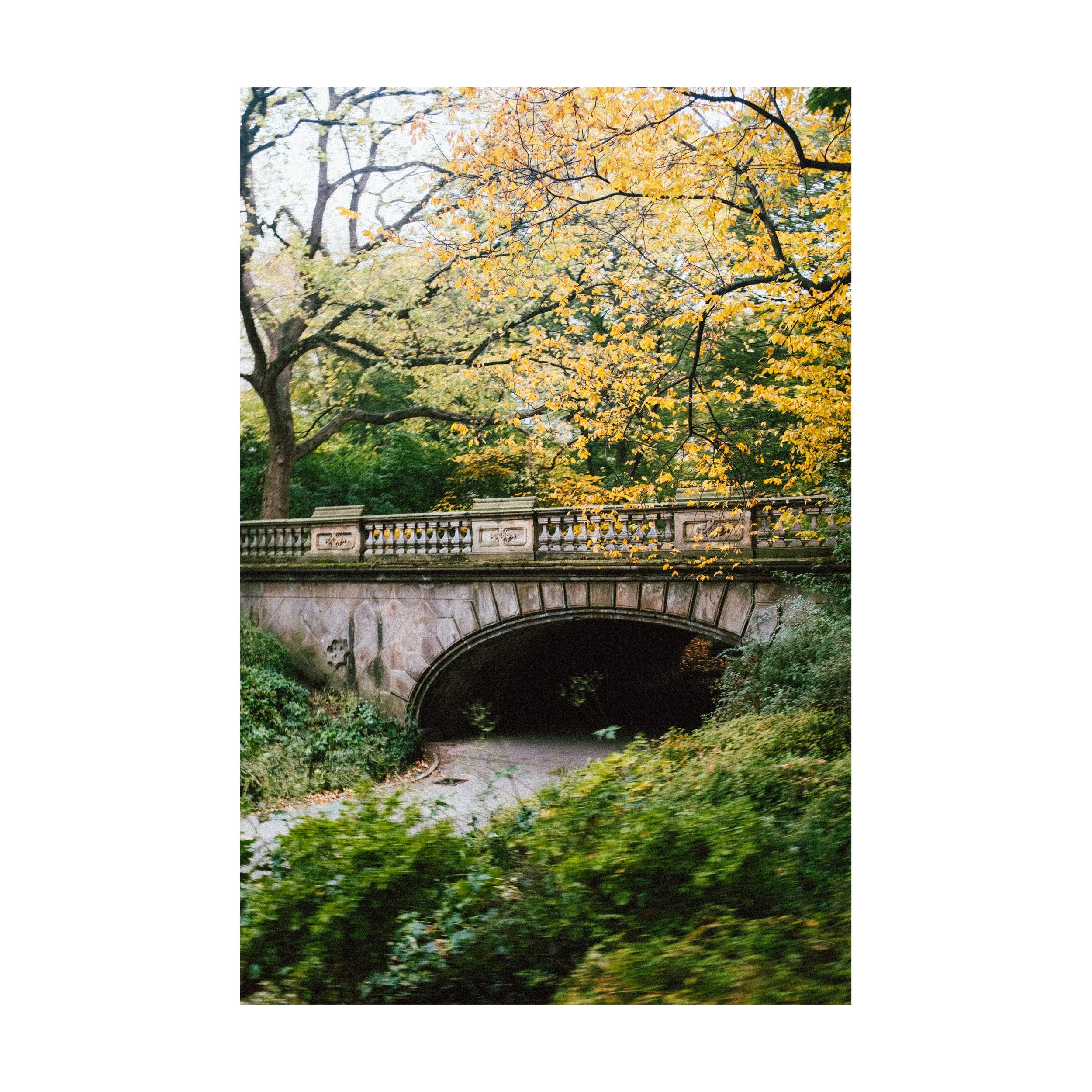 Central Park Autumn_square.jpg