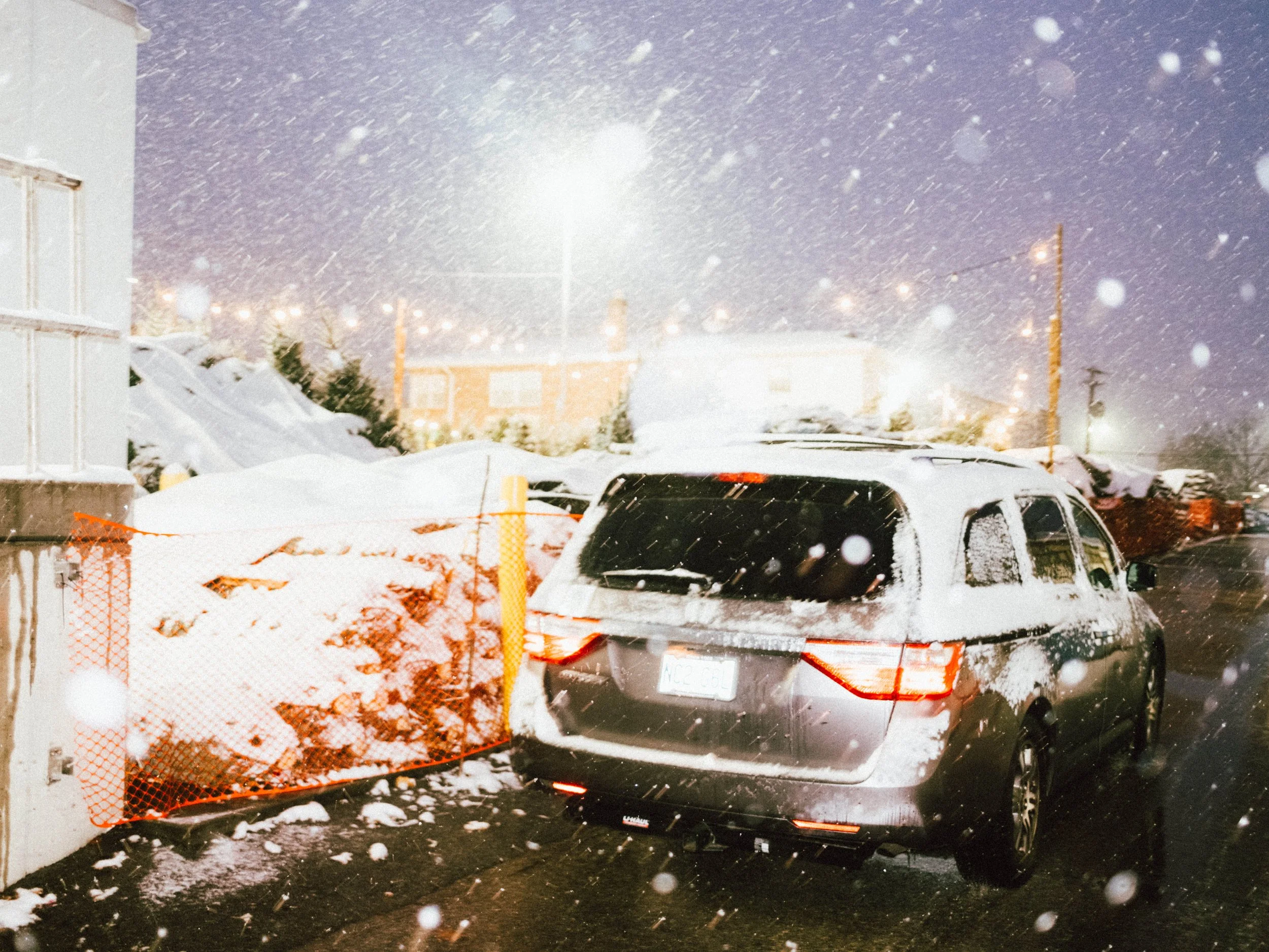 Snow Day Tree Farm.jpg