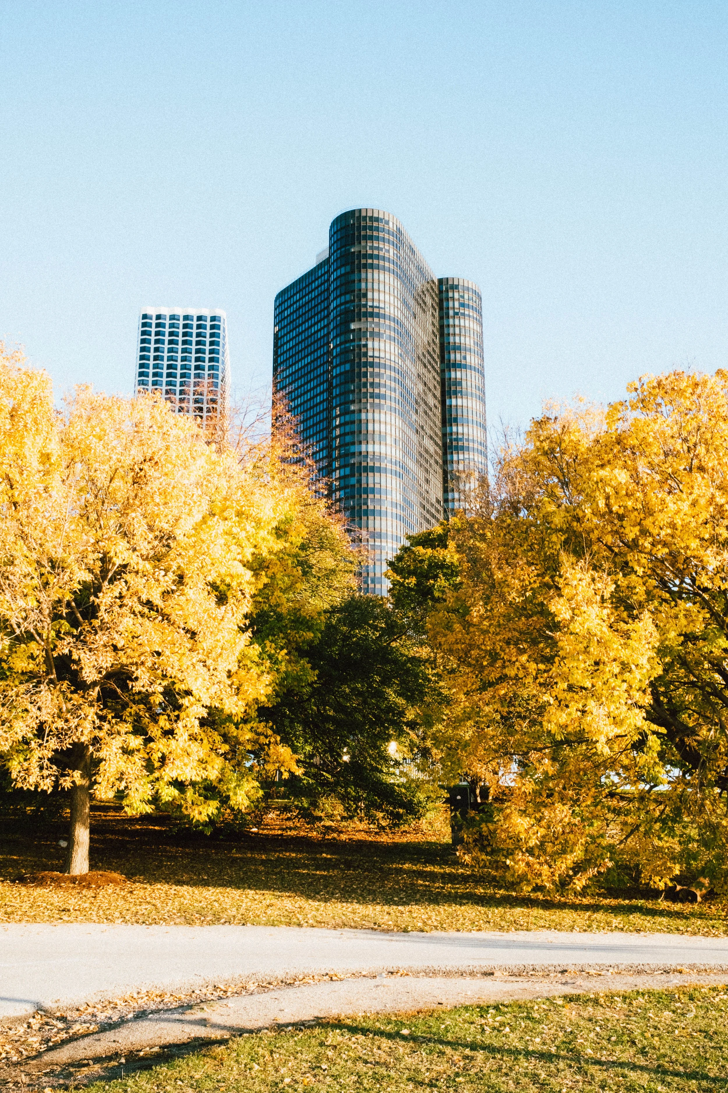 Chicago Autumn.jpg