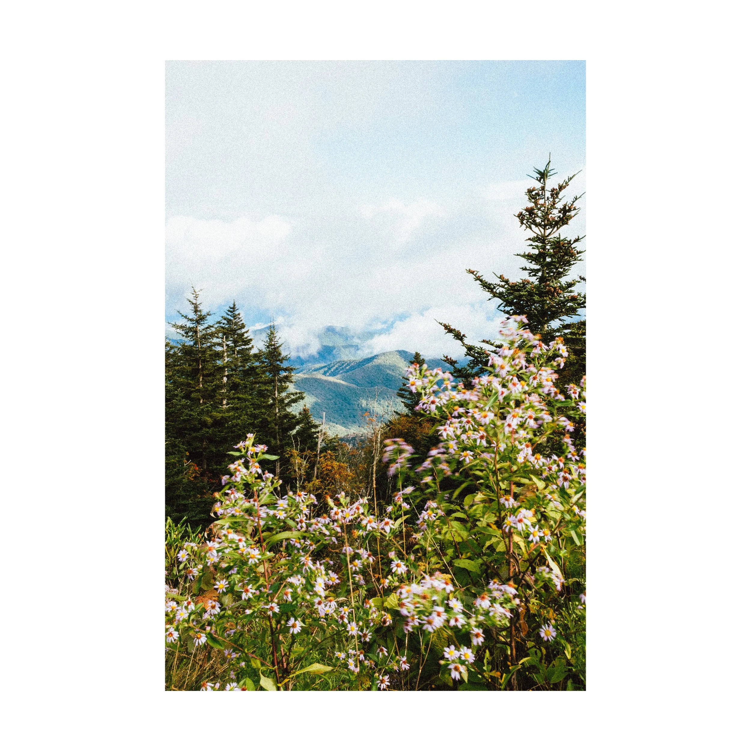 Kuwohi Sun_square.jpg