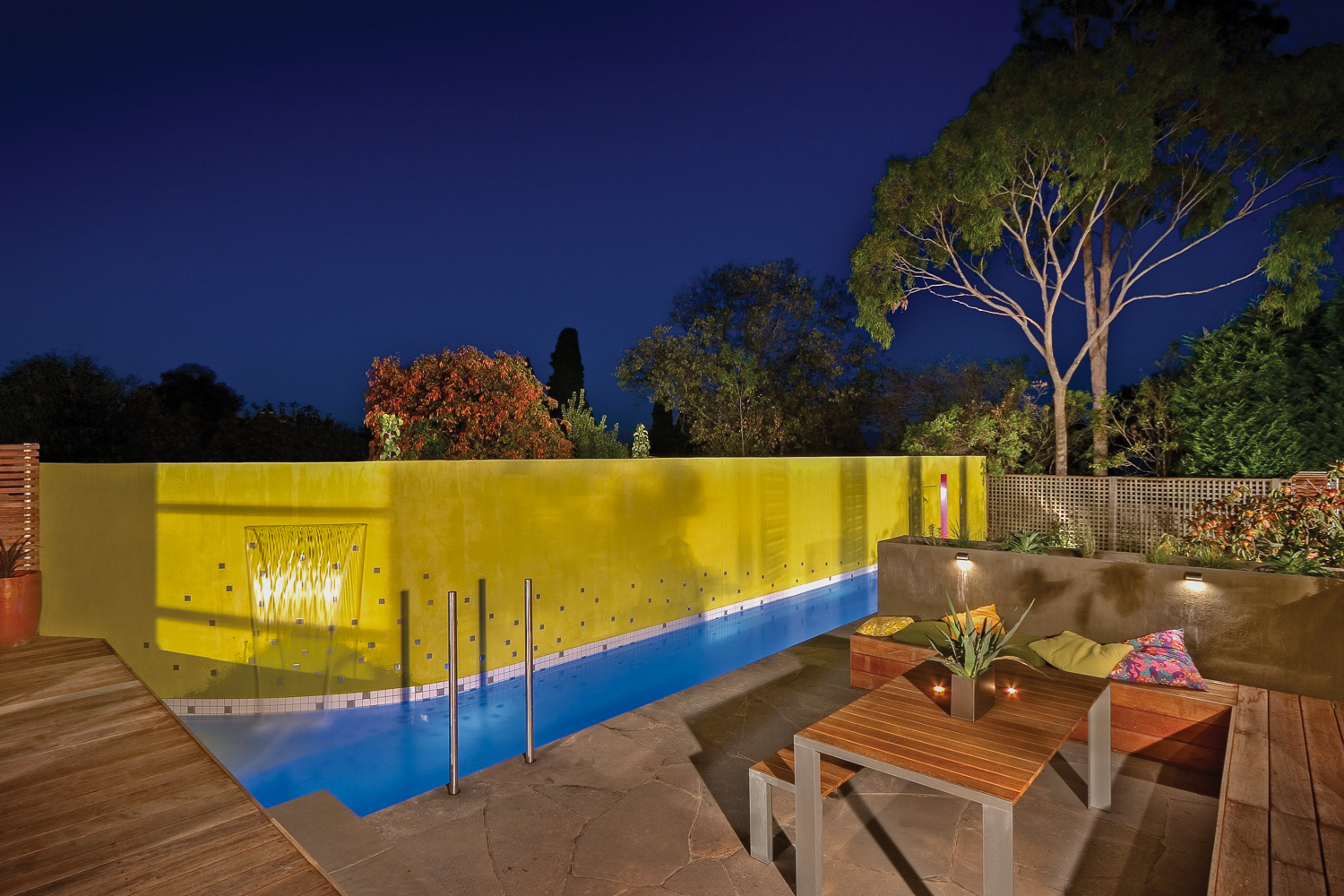 Korol Web image-4.jpg