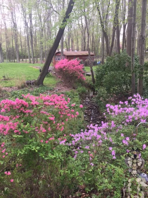 Spring 2016