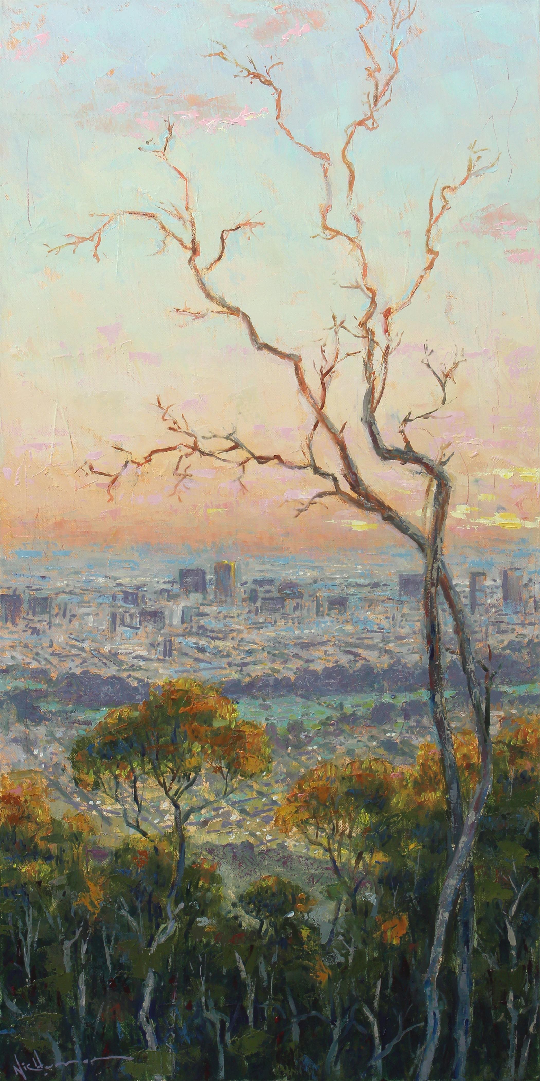 Entangled Dance (Adelaide Parklands from Mount Lofty) - Nic Human.jpg
