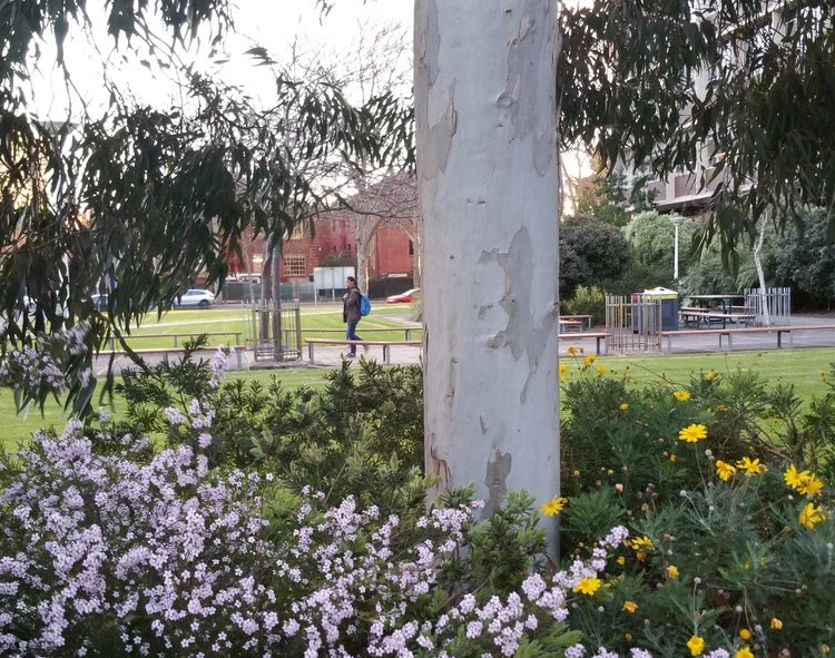 FromePark.jpg