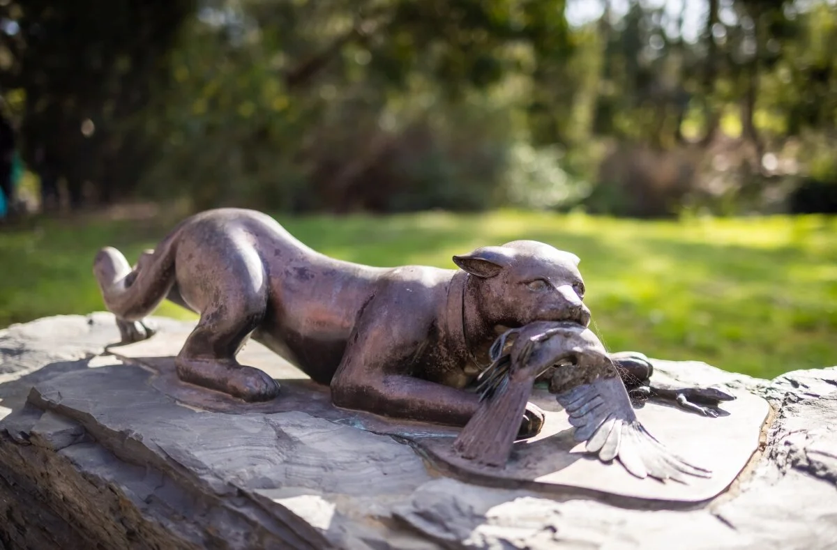 Cat sculpture by Silvio Apponyi on the Wirrarninthi Environmental Trail.  Pic: Carla Caruso