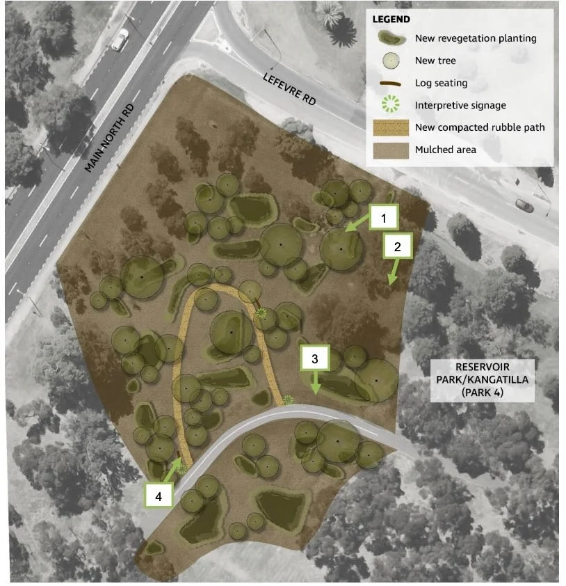 Location of the new plantation in Reservoir Park / Kangatilla (Park 4) near the corner of Lefevre Rd and Main North Rd
