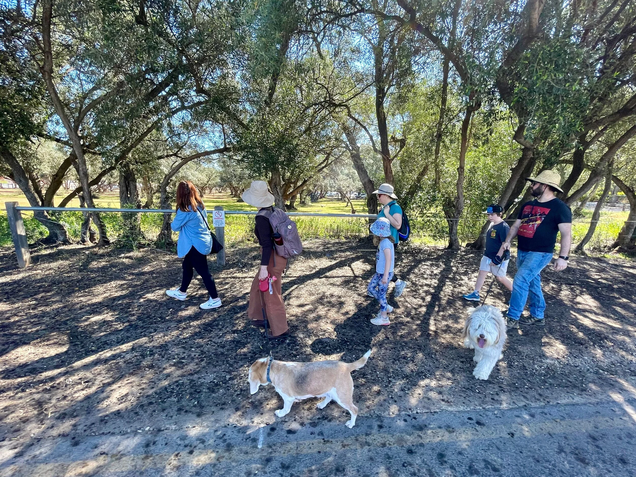 Walkers learn of Bonython Park's woes