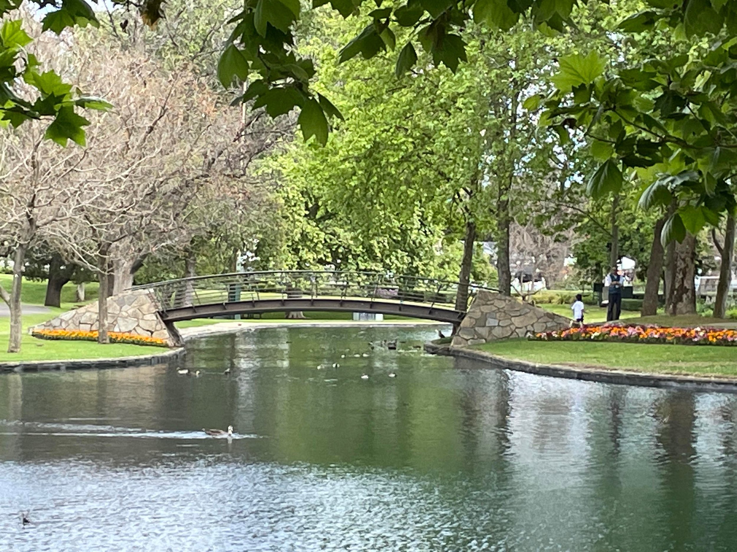 Pleased to Meet You, Anne and Liz