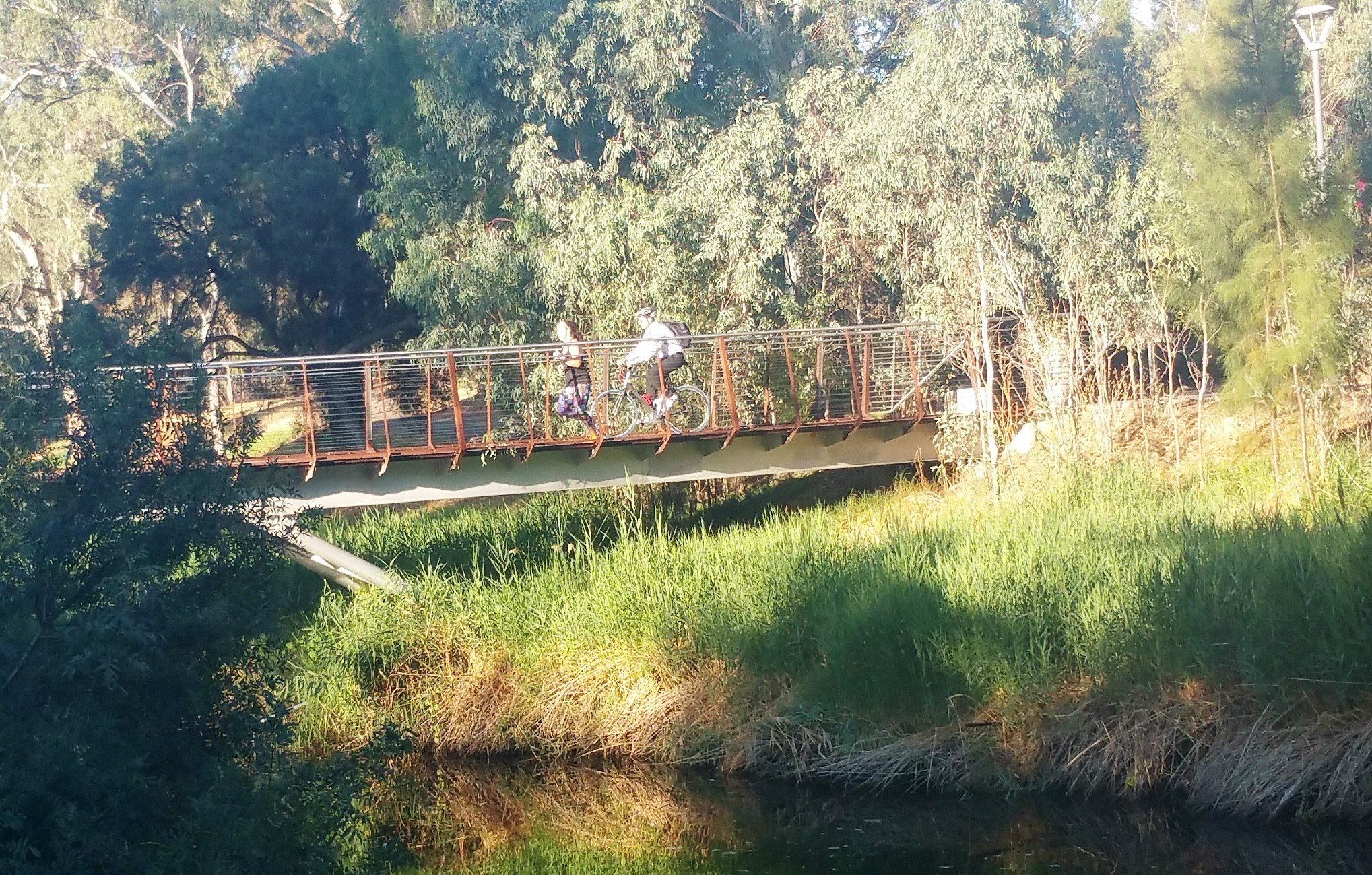 Sir Doug Nicholls bridge 