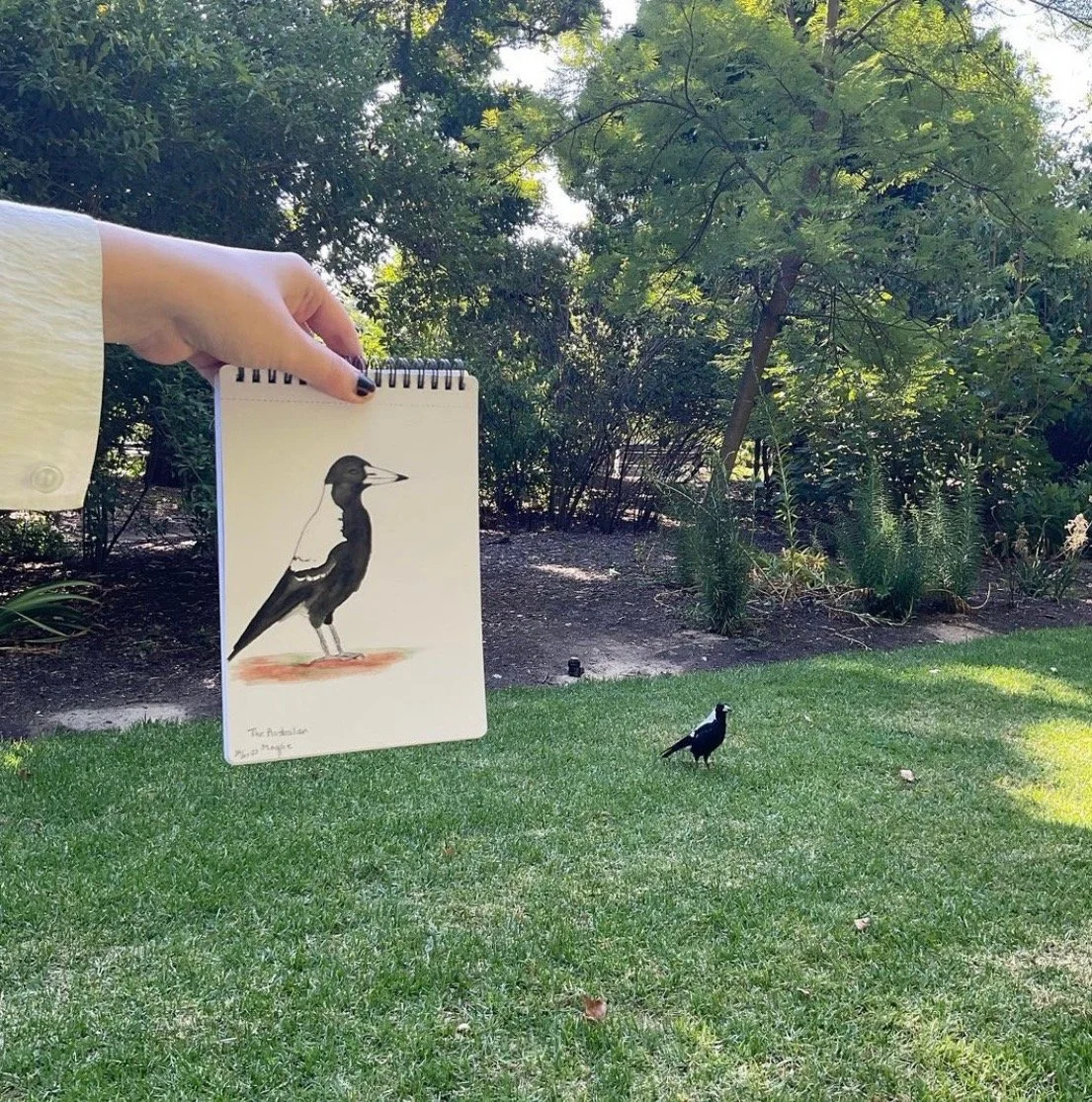 Sketching in your parks