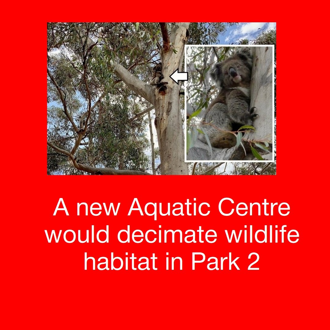 Koala Park 2.jpg