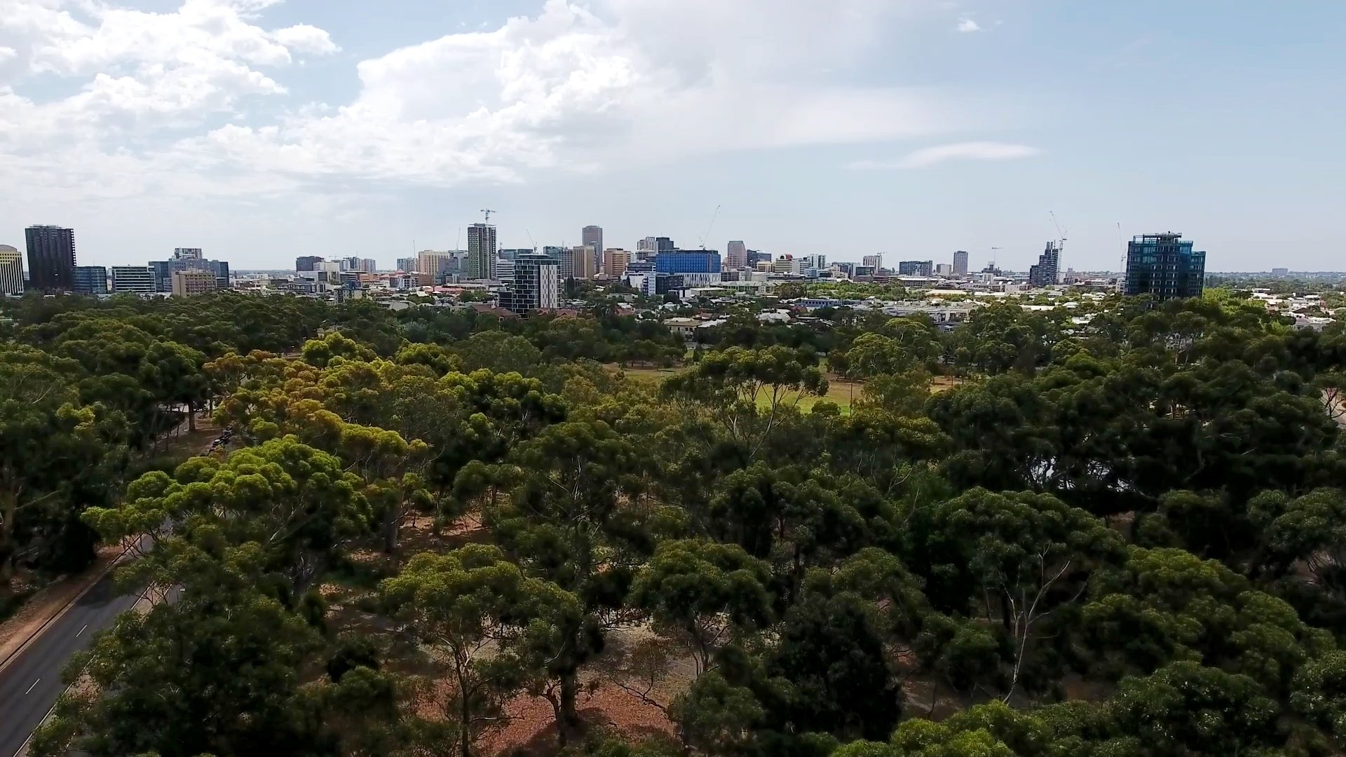 Looking north to the City across the woodland from above Glen Osmond Rd