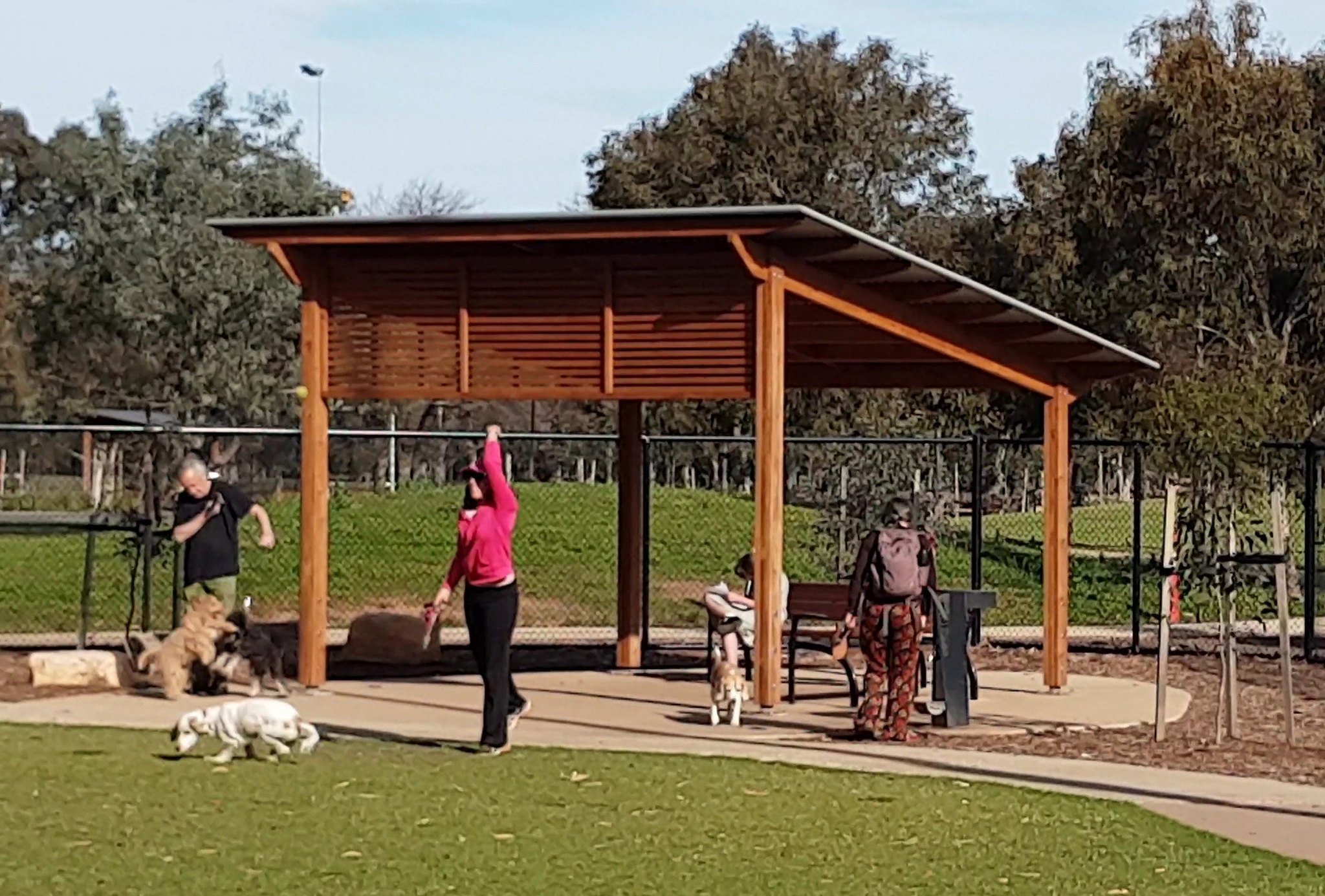 dog park 2.jpg