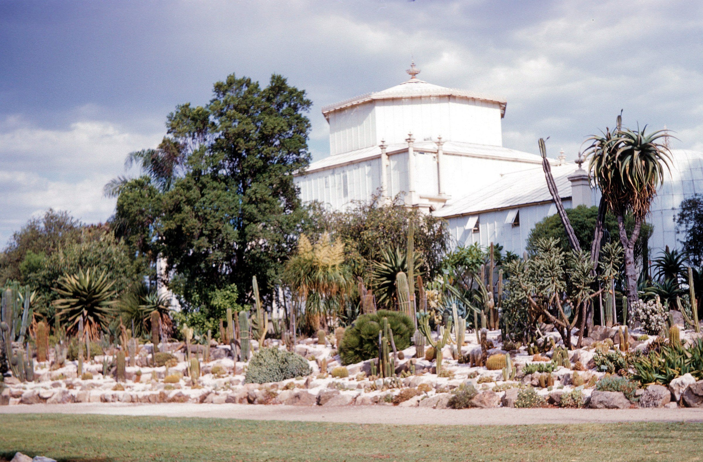 Adelaide Botanic Garden:  The 1877 Palm House, neglected in 1961 