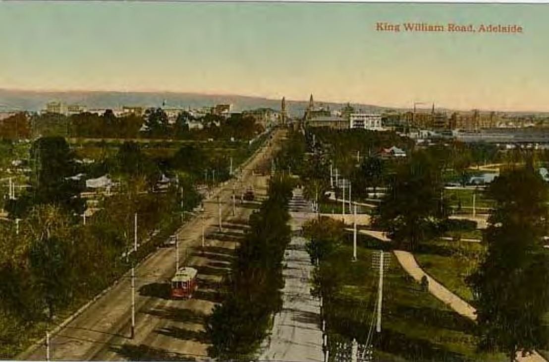 Early 1900s - Park Lands off King William Road
