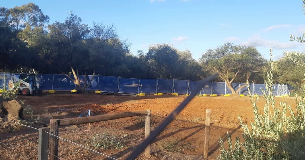 Here is the latest evidence of how the State Government manages your Park Lands - in this case Kate Cocks Park in your Park 27.  Historic Olive trees planted more than 150 years ago, have been destroyed over the past few days.  And they are not finis