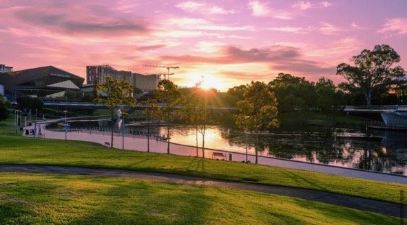 Sunset over Elder Park (Park 26), thanks to @gascoigne.chris. 

#adelaideparklands #picoftheday📸