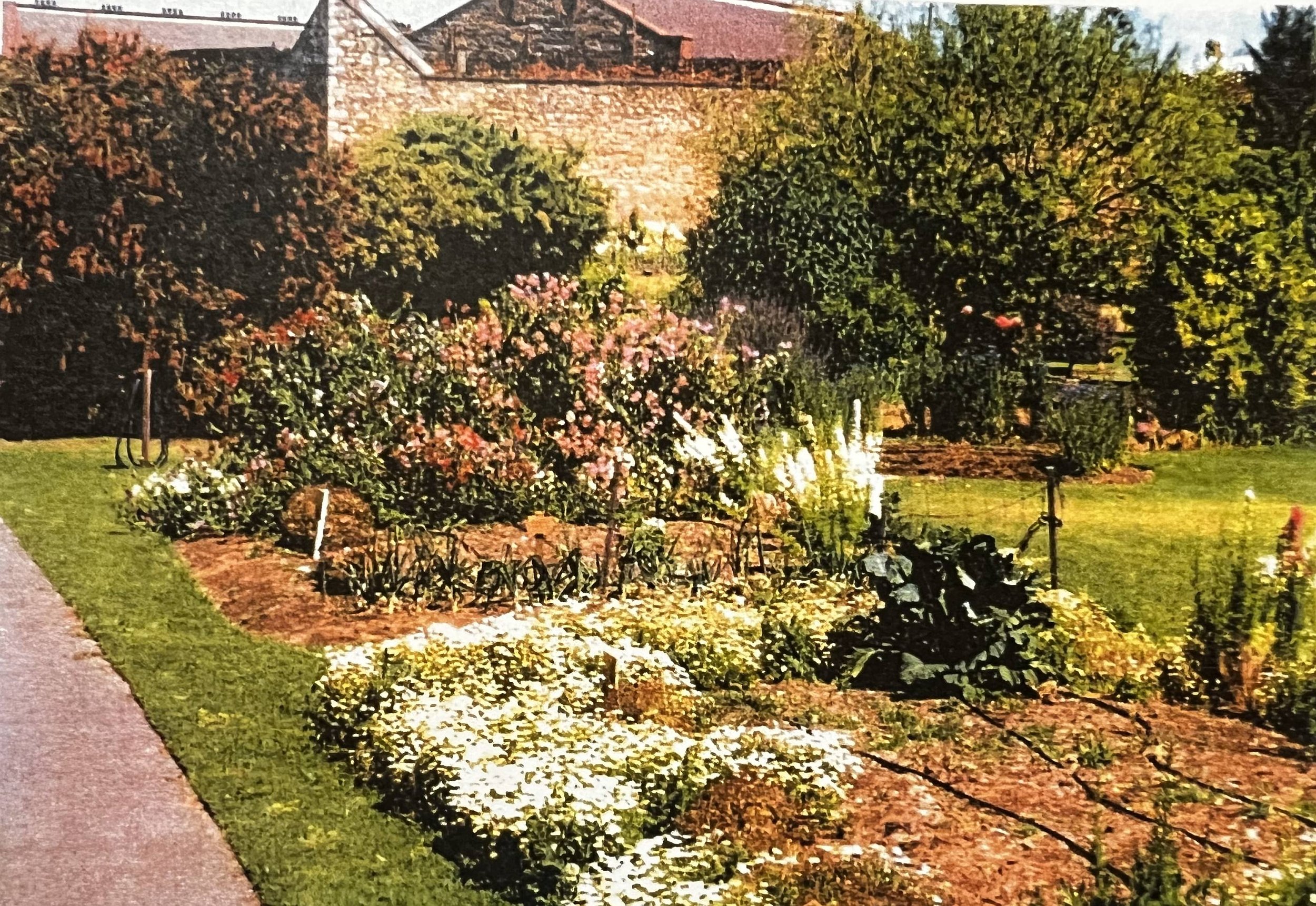 Photos from a 20th anniversary brochure (c 2012) for the Roma Mitchell Garden