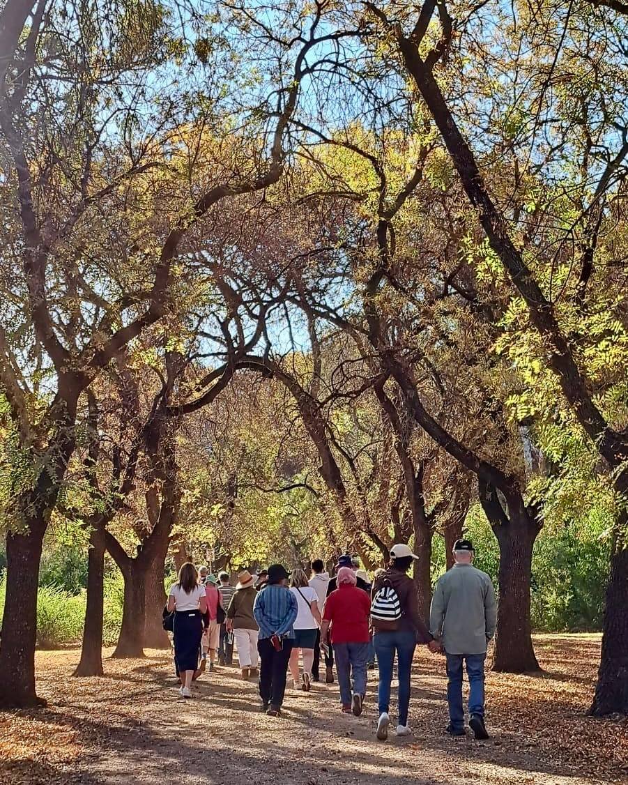 Lovely scenes captured by @adelaidewriter during our guided walk in Carriageway Park / Tuthangga (Park 17) on Sunday. 

Autumn's in the air!

For our upcoming guided walks, head to our website; link in bio.

#adelaideparklands #picoftheday📸