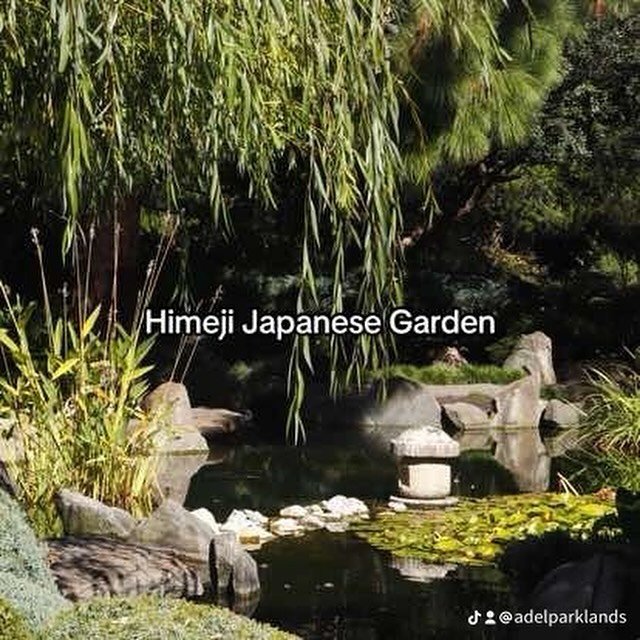 Himeji Japanese Garden in Peppermint Park /Wita Wirra (Park 18 of your #adelaideparklands)
