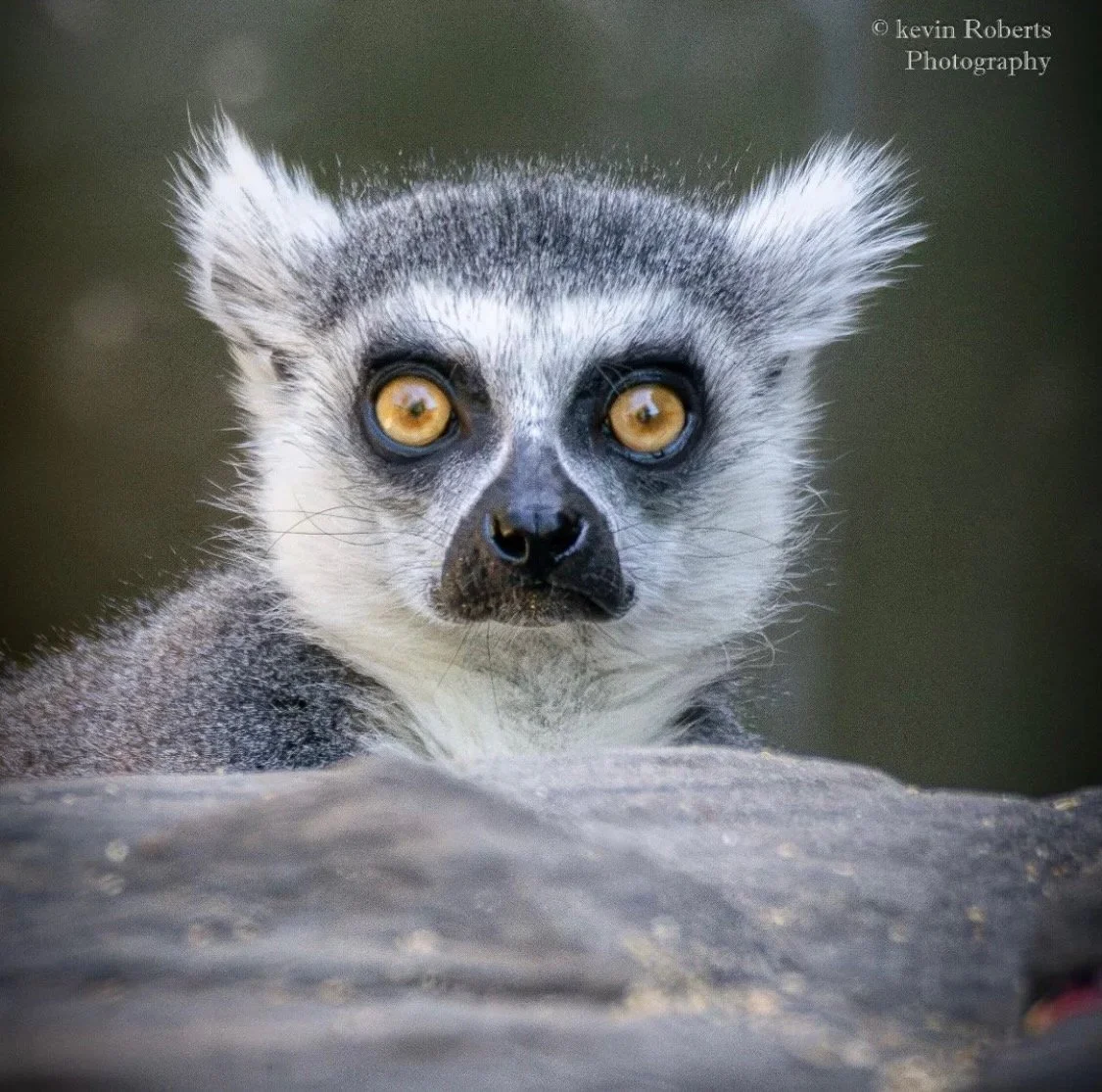 Through Kevin’s lens