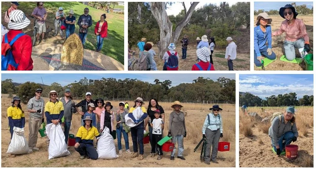 Caring for bushland