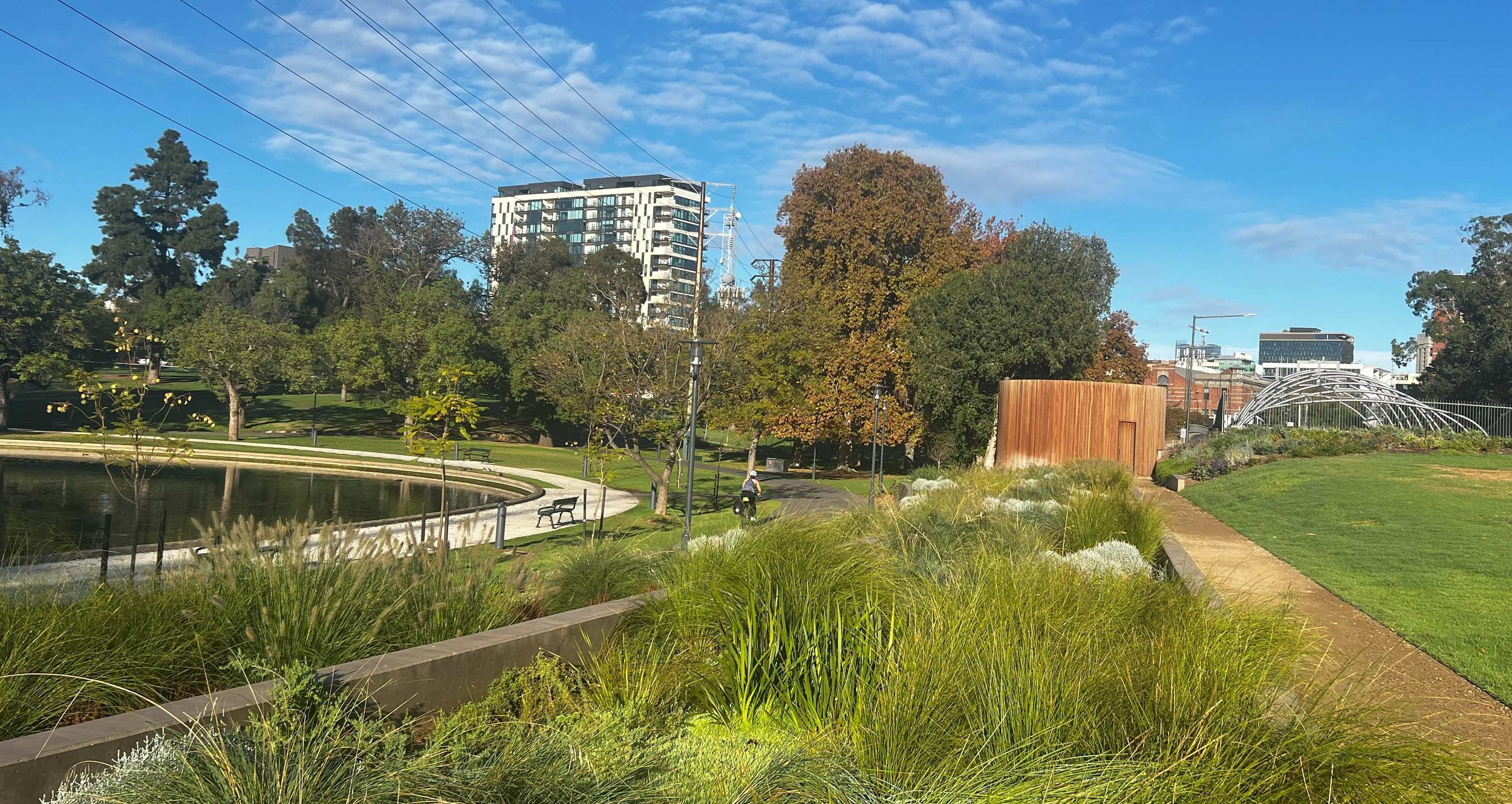 Rain garden - looking west