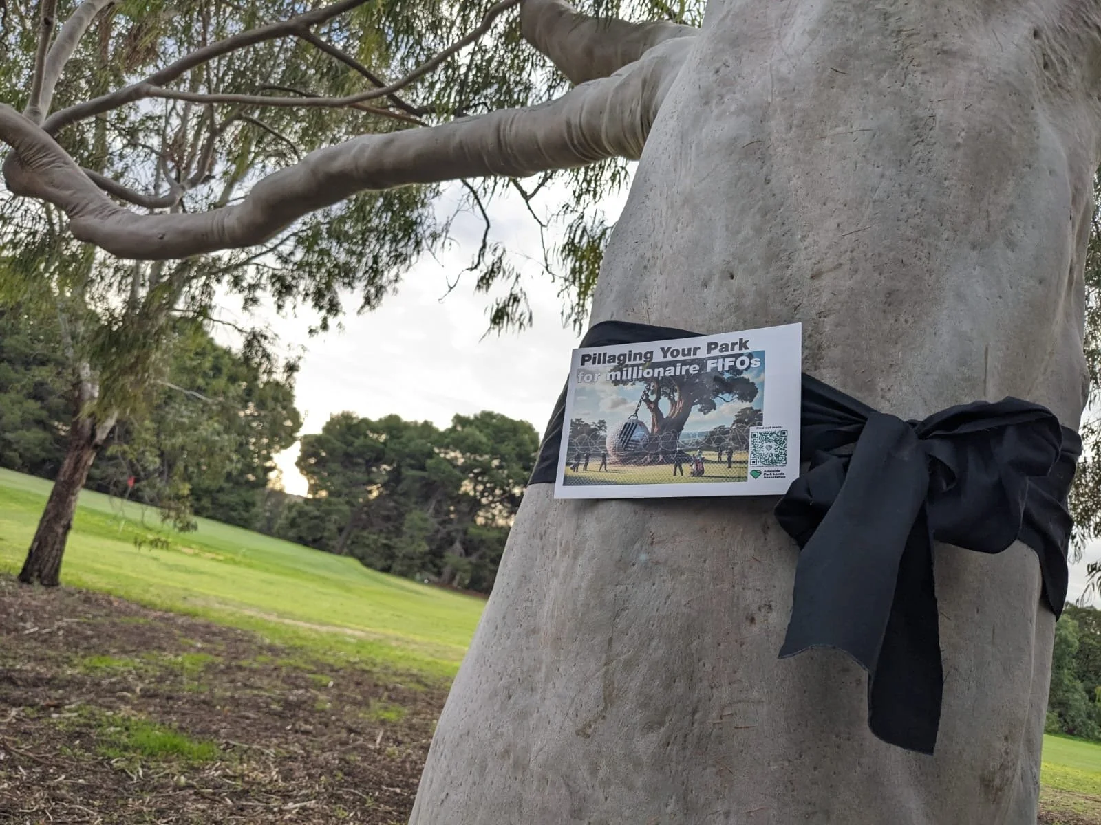 Protect Possum Park Trees