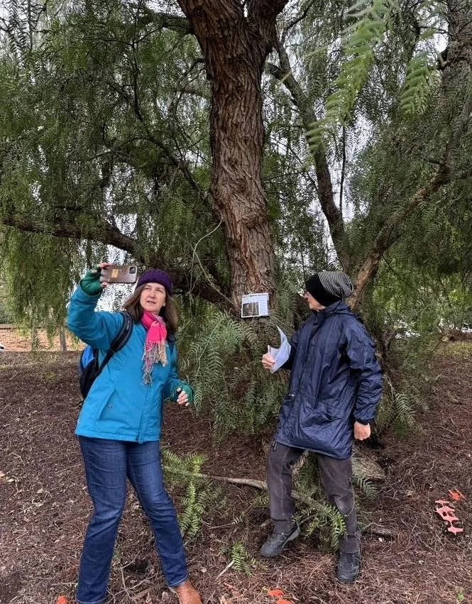 Rosemary & friend with Pepper trees