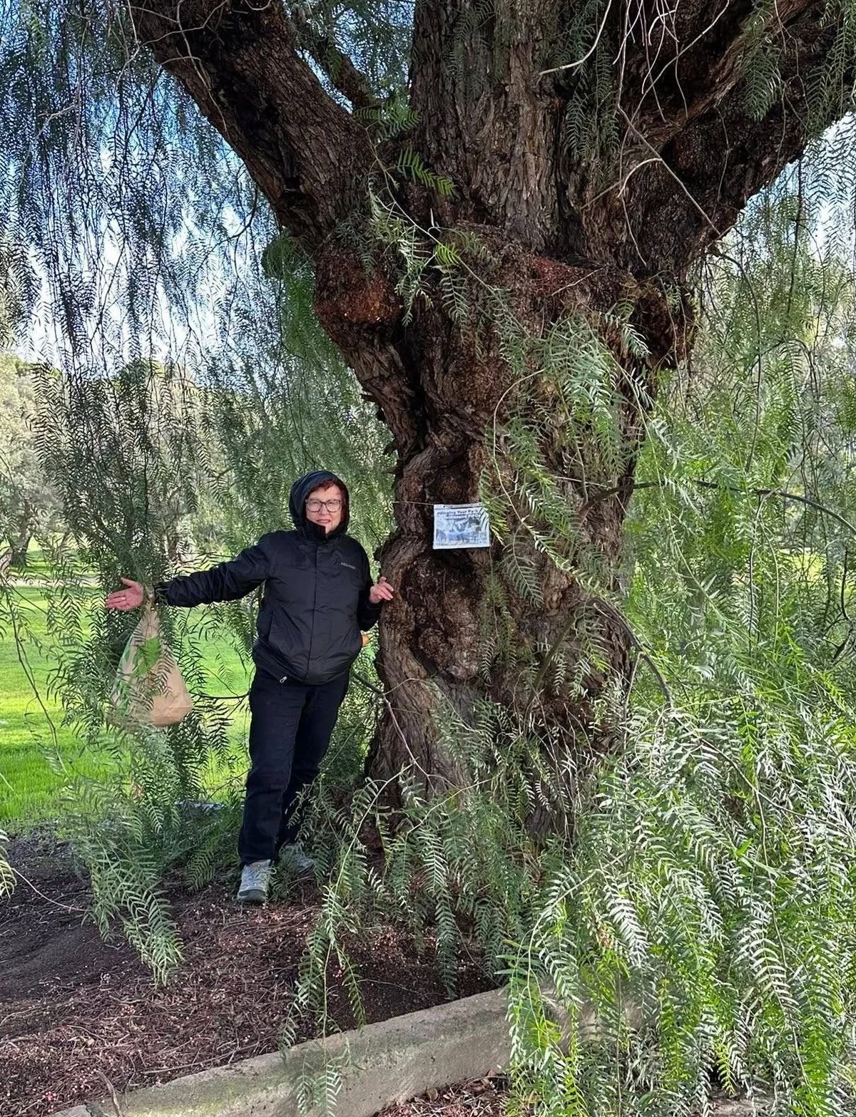 Rosemary & friend with Pepper trees